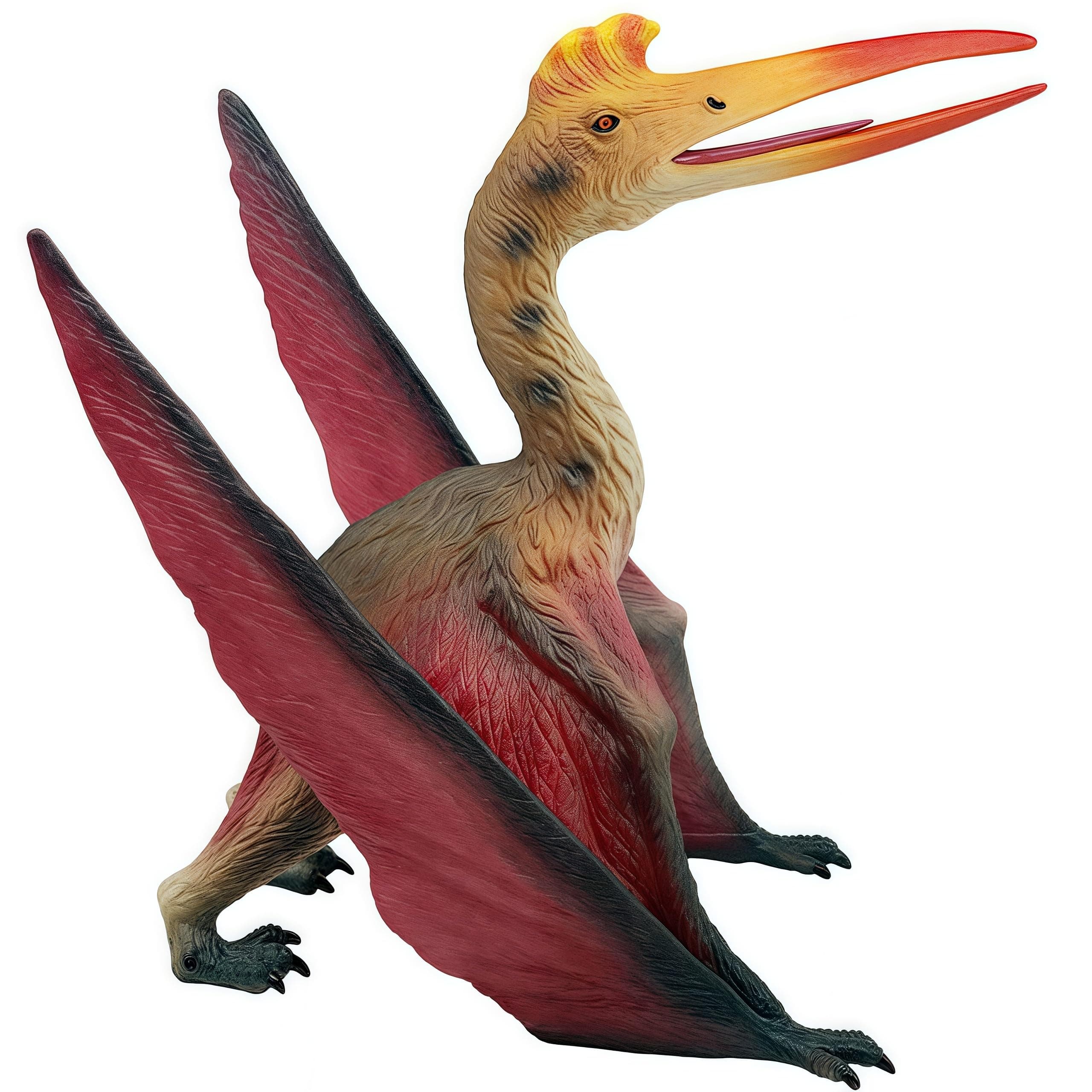 Pterosaur
