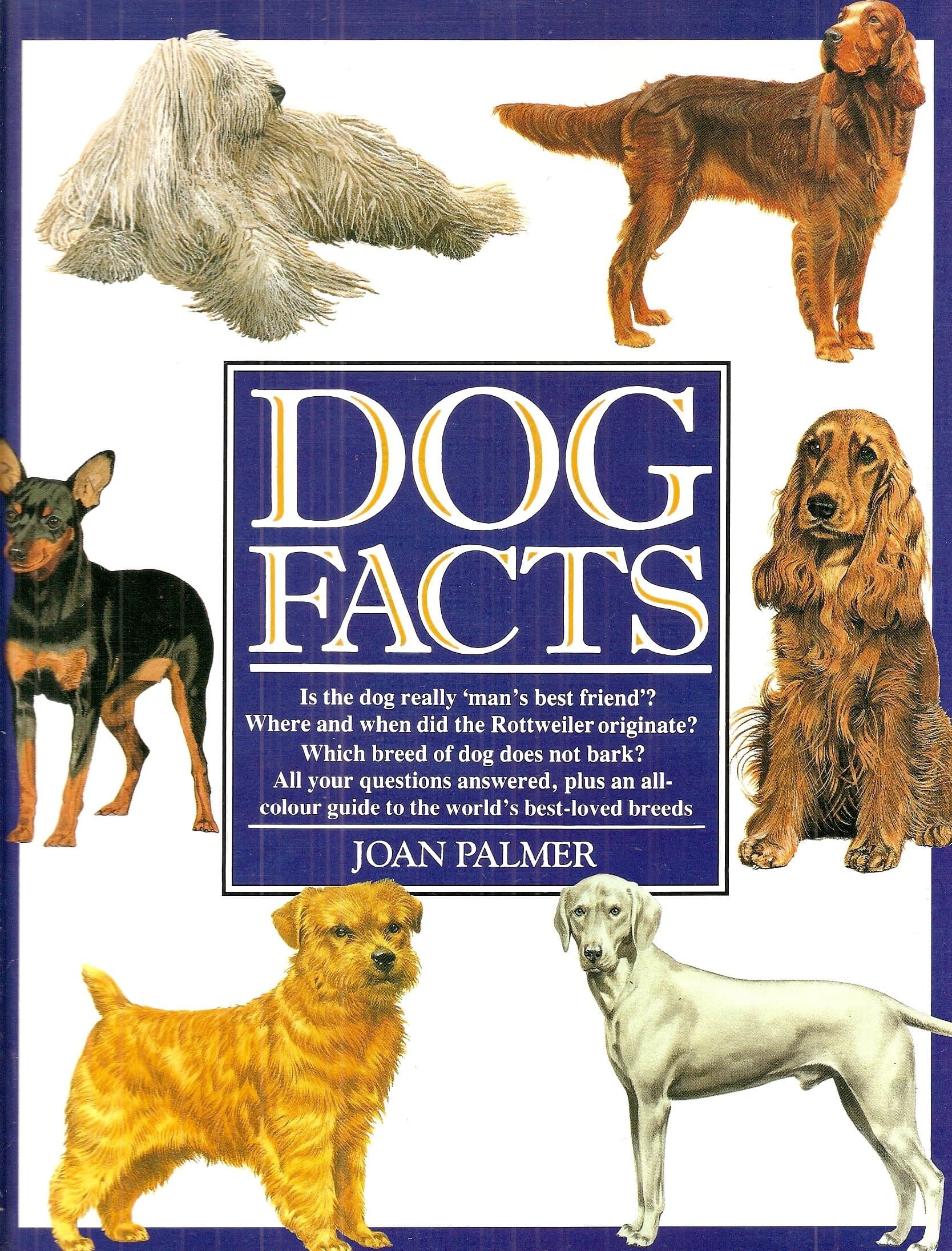 Dog Facts