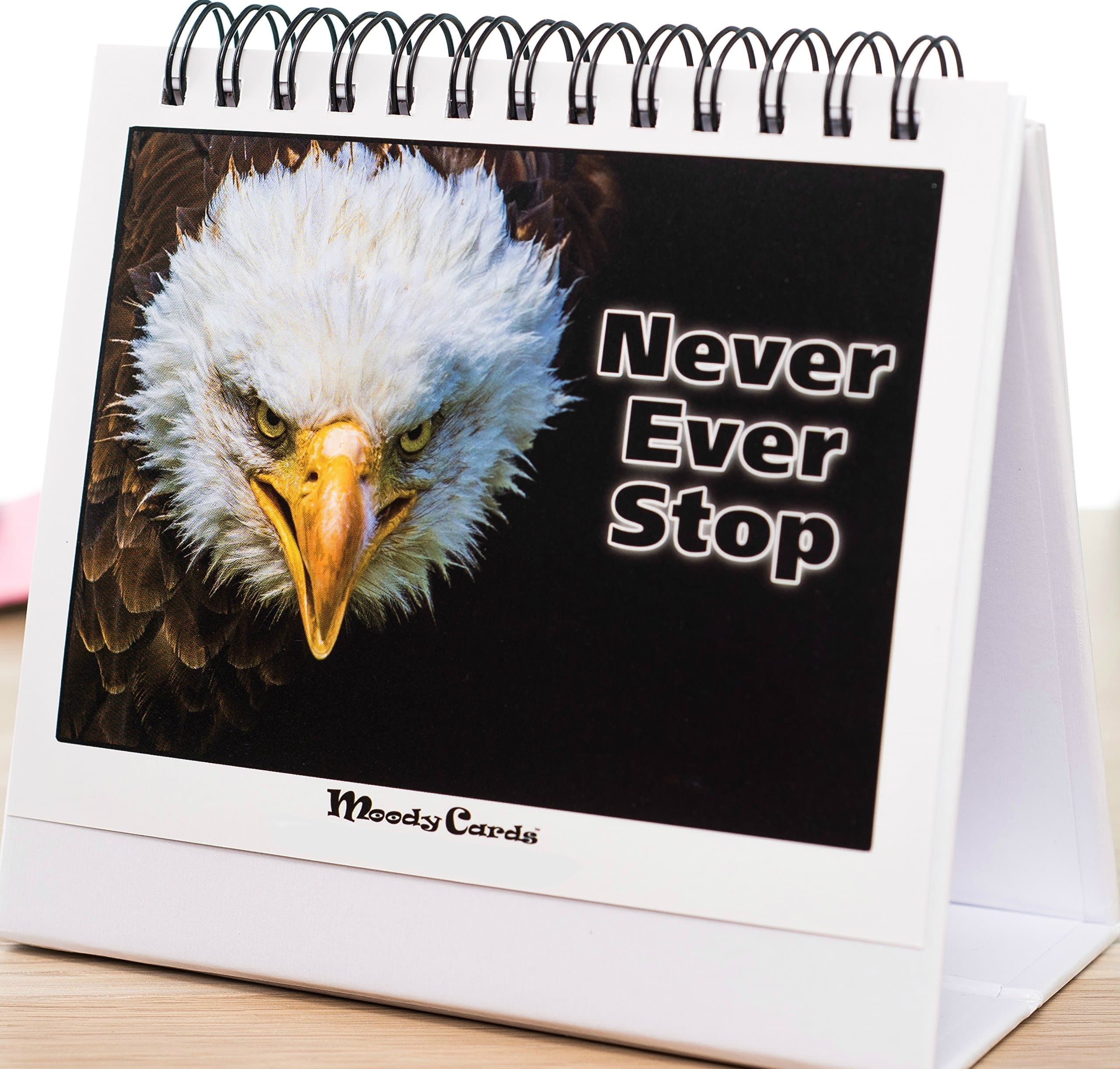 MoodyMotivators! - Daily Motivational & Inspirational Desk Quotes and Greeting Card Choices for Men & Women | Great Office Gift for Secretaries, Employees, Coworkers, Conference Giveaways