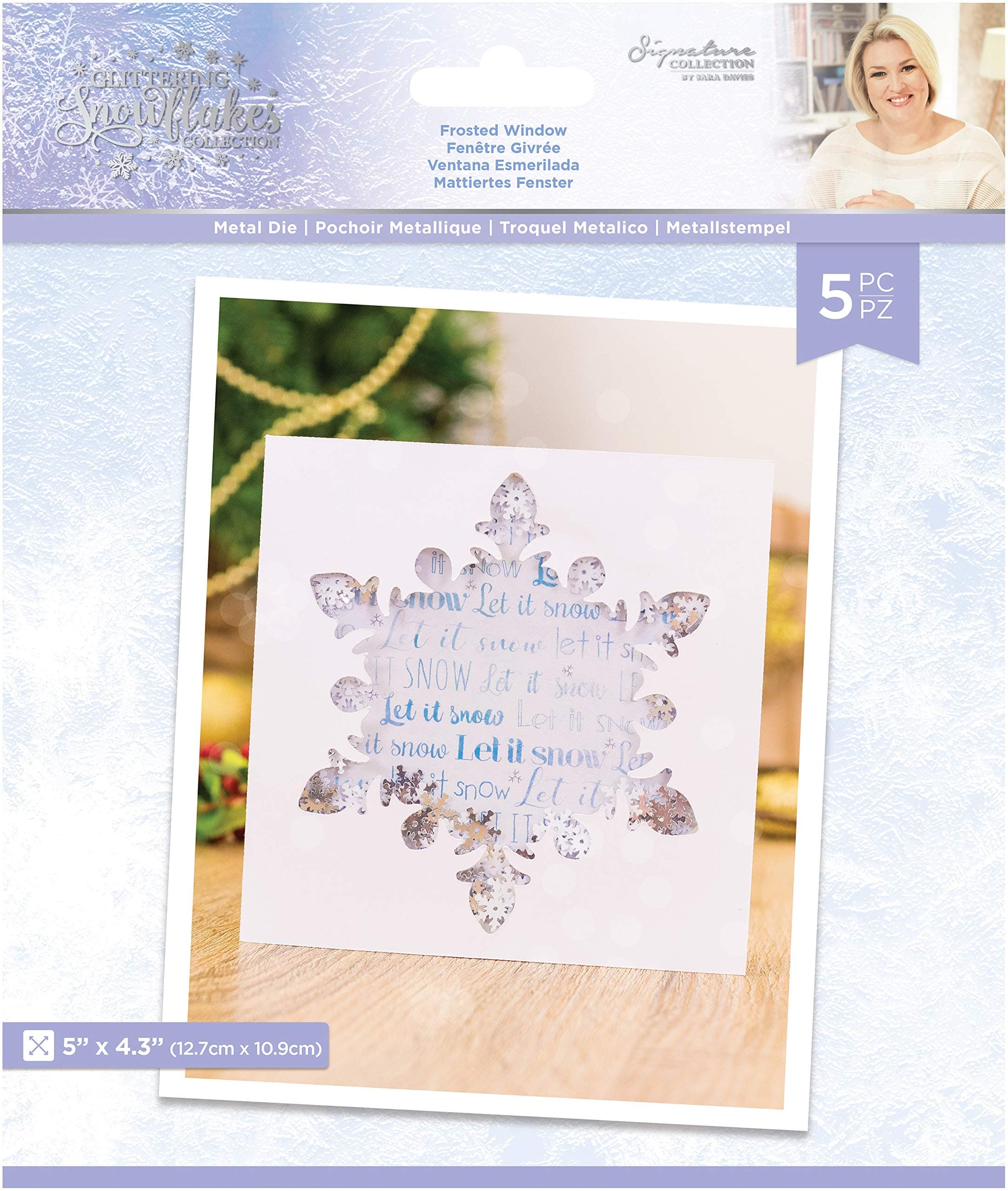 Sara Signature S-GS-MD-FRWI Glittering Snowflakes Collection-Metal Die-Frosted Window, Silver