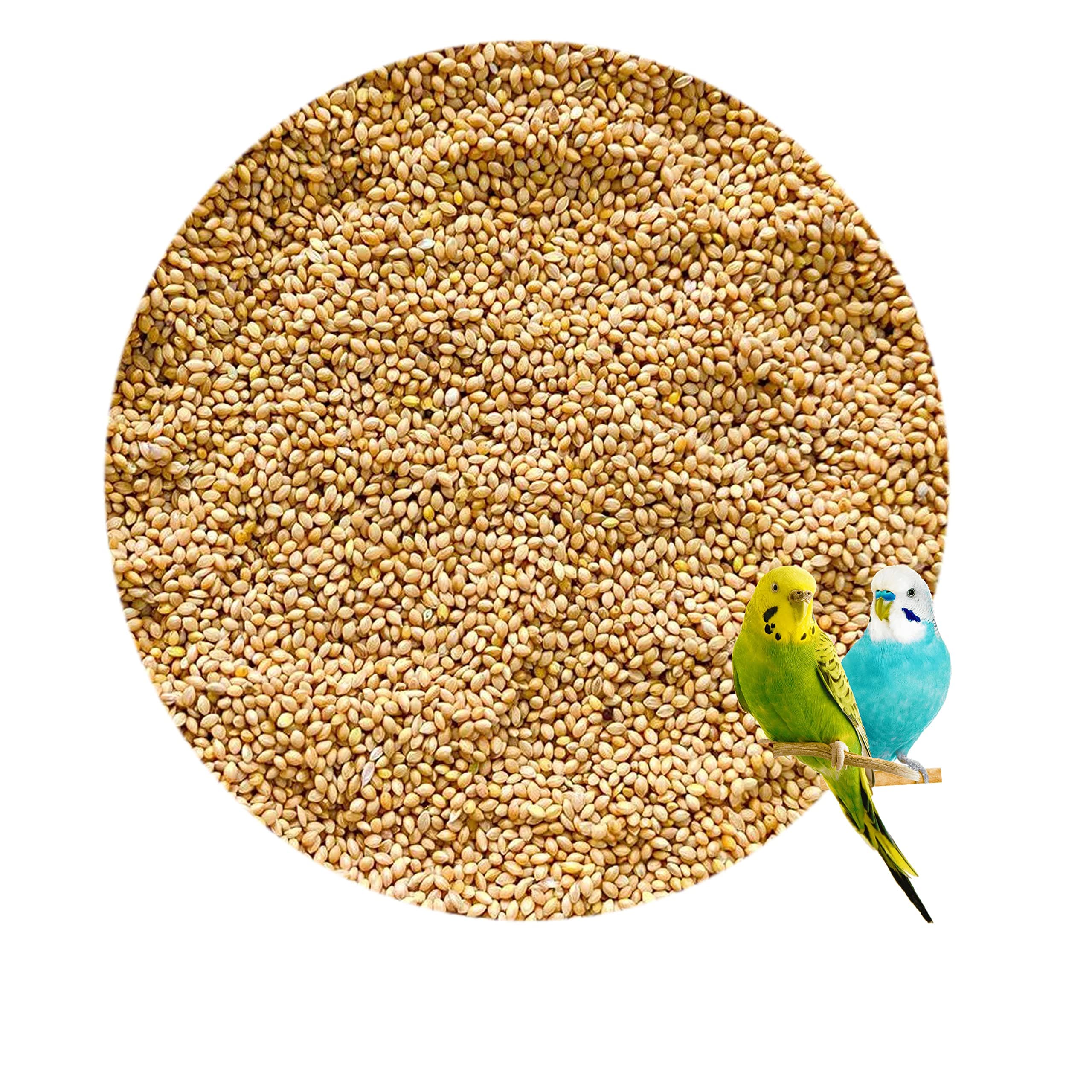 Budgies Kangni Bird Food Small Size Birds 1900 Gram