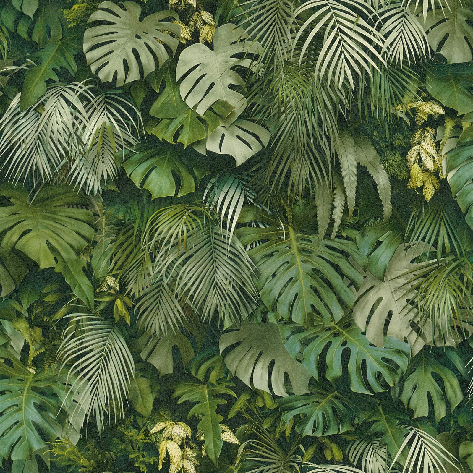 BRICOFLOR Paste The Wall Wallpaper | Jungle Wallpaper, Tropical Wallpaper - Bedroom Wallpaper - Green | Roll 10.05 x 0.53m = 5.33m² BRP372802GRY