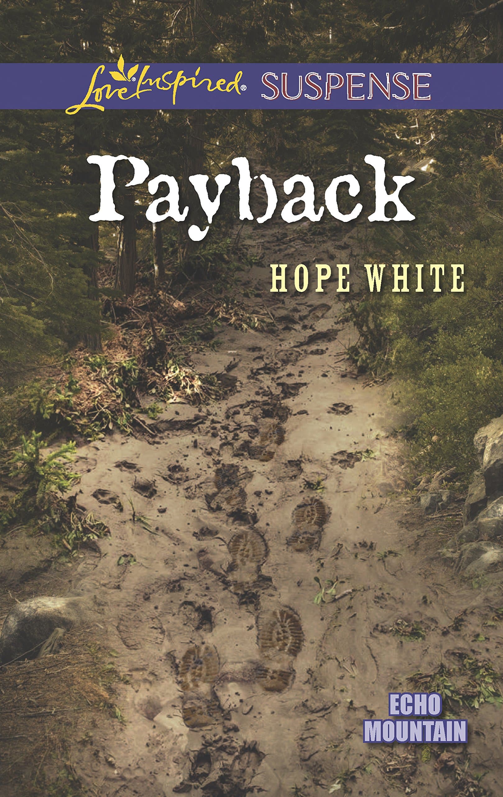 Payback (Echo Mountain, 3)