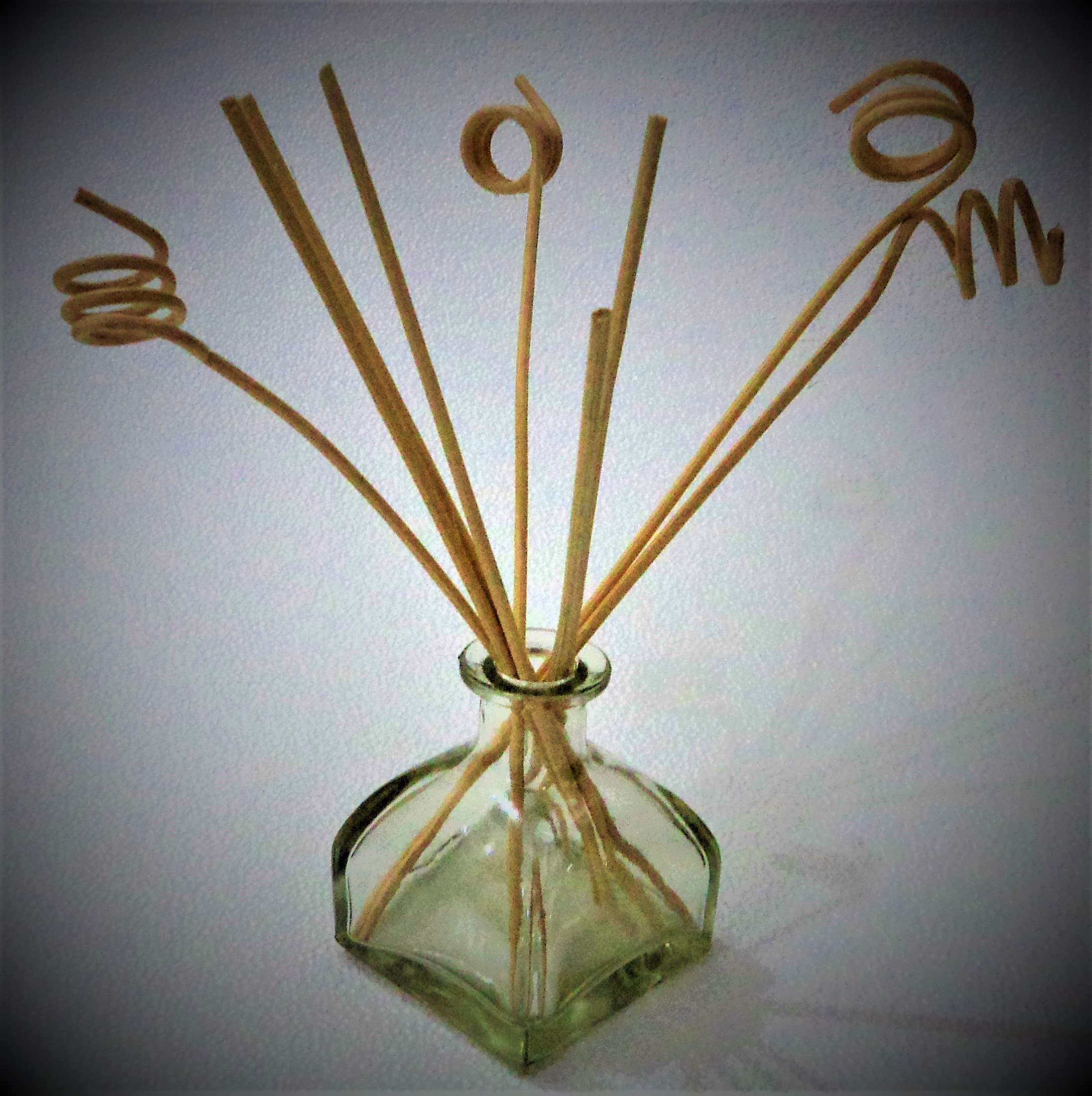 Glass Bottle with 8-Piece Reed Sticks, 100ml (Clear)