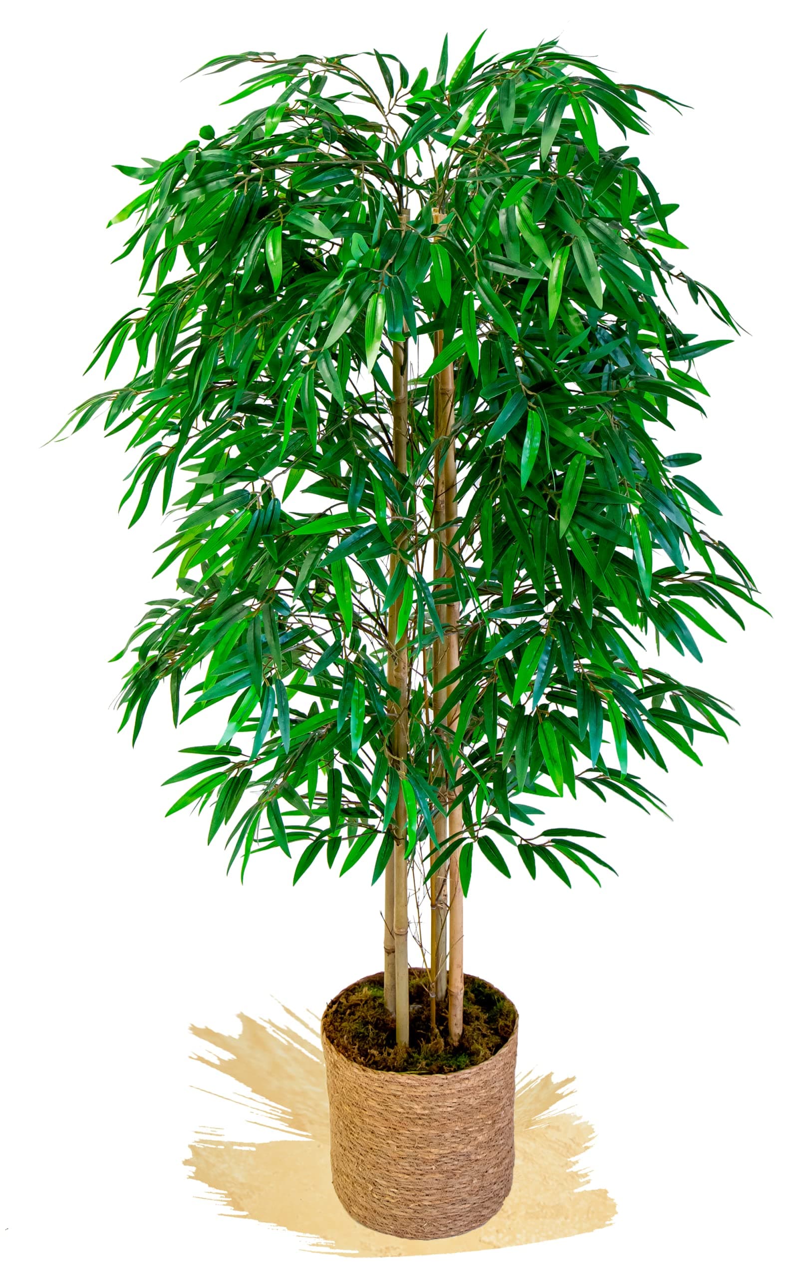 Maia Shop | Artificial Bamboo | Decorative Artificial Plants | Dimensions: 150 x 70 cm | Realistic Artificial Plant | Artificial Tree | Ideal for Decoration