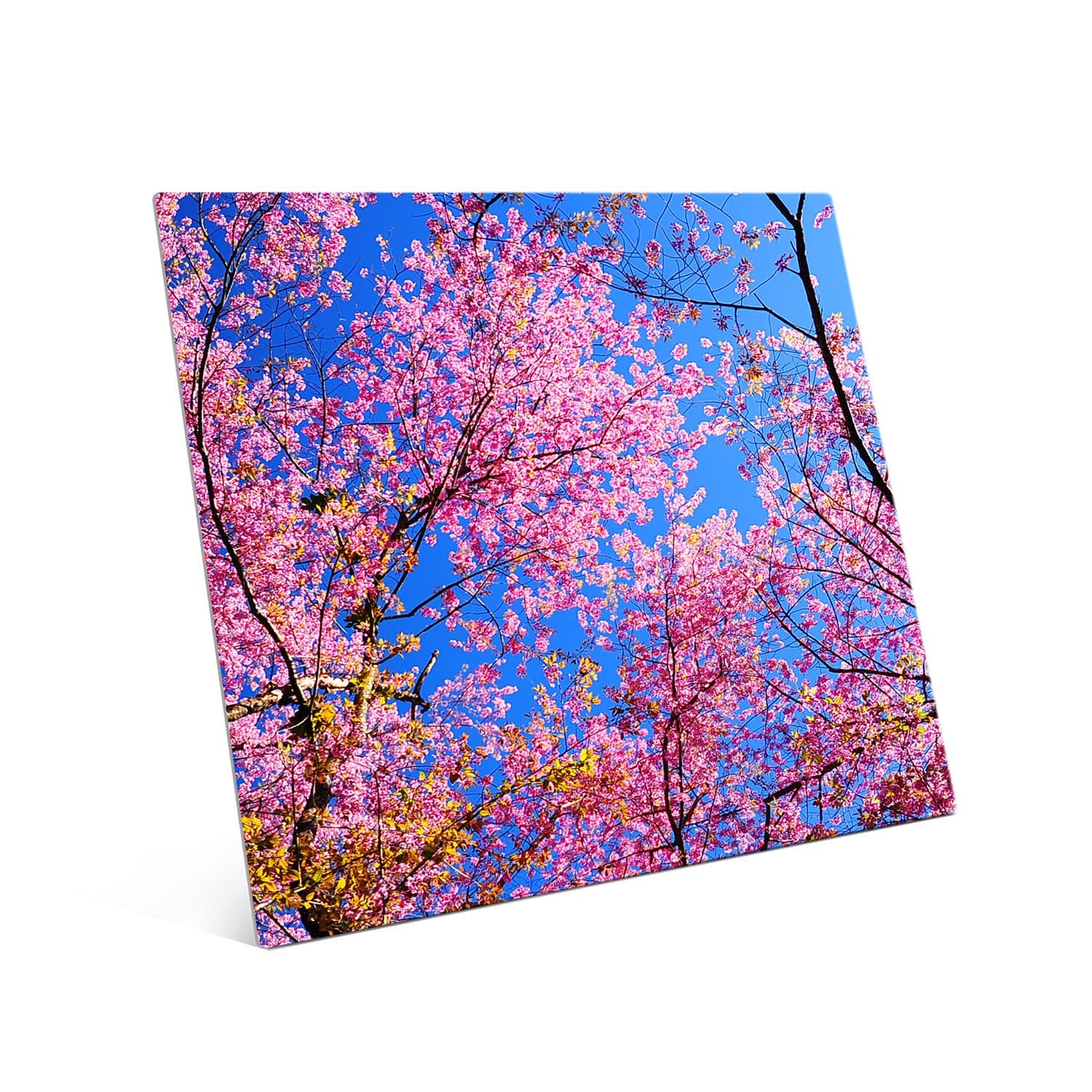 Picture Wall Art Your Photo on Custom Aluminum Metal 20 x 24 Vertical Print - Proudly Made in the USA!