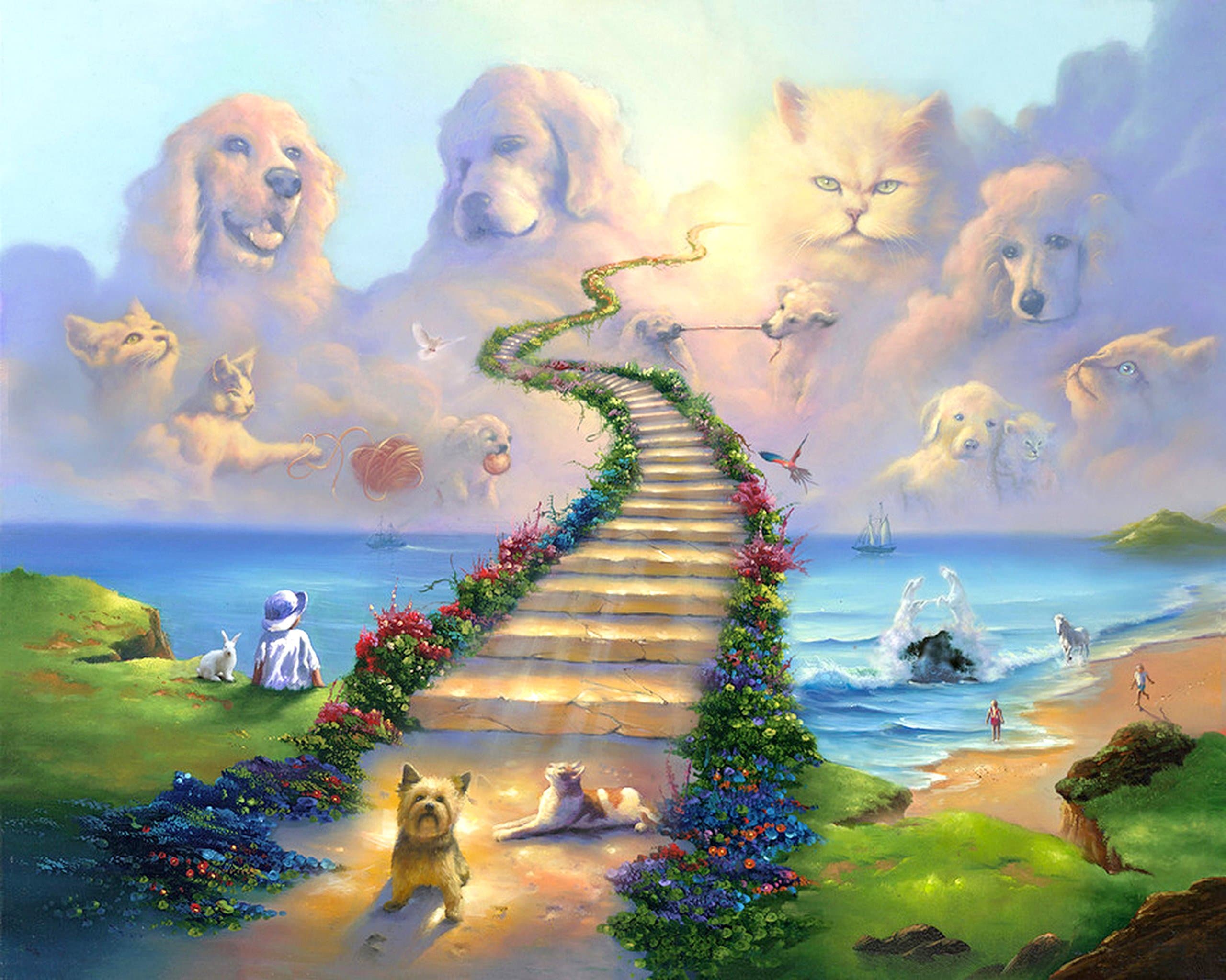 Treasure Chest Shoppe 16x20 11x14 or 8x10 Rainbow Bridge All Pets Go Stairway to Heaven Art Print Sympathy Memorial Dogs Cats (8x10)