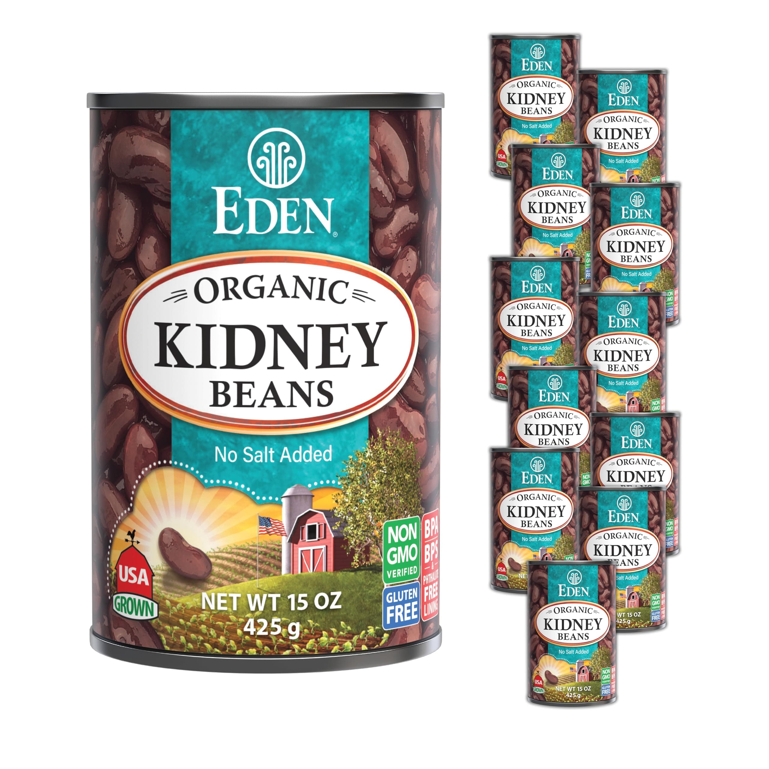 Organic Kidney Beans, No Salt Added, 15-Ounce Cans (Pack of 12)