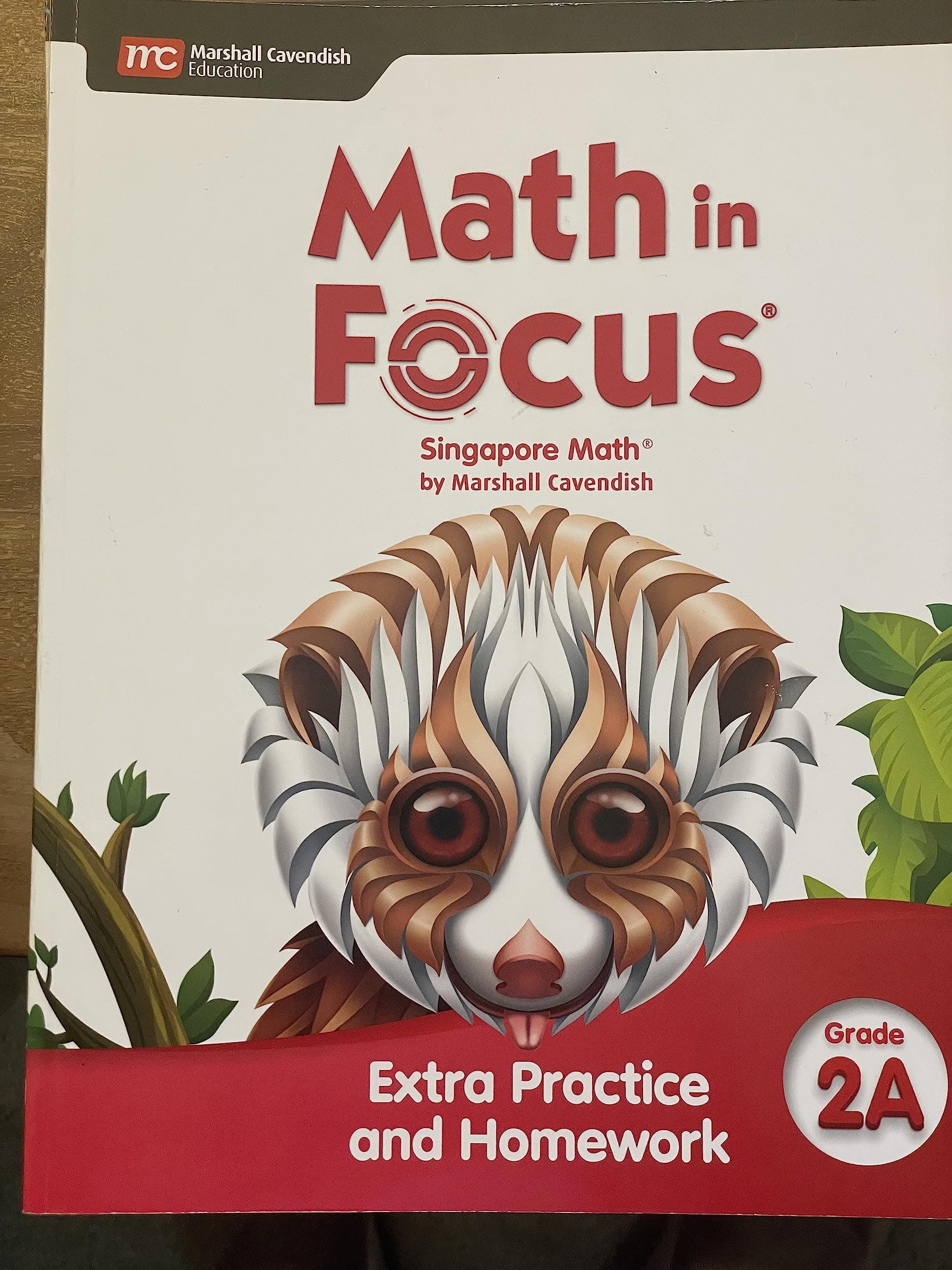 Extra Practice and Homework Volume A Grade 2 (Math in Focus)