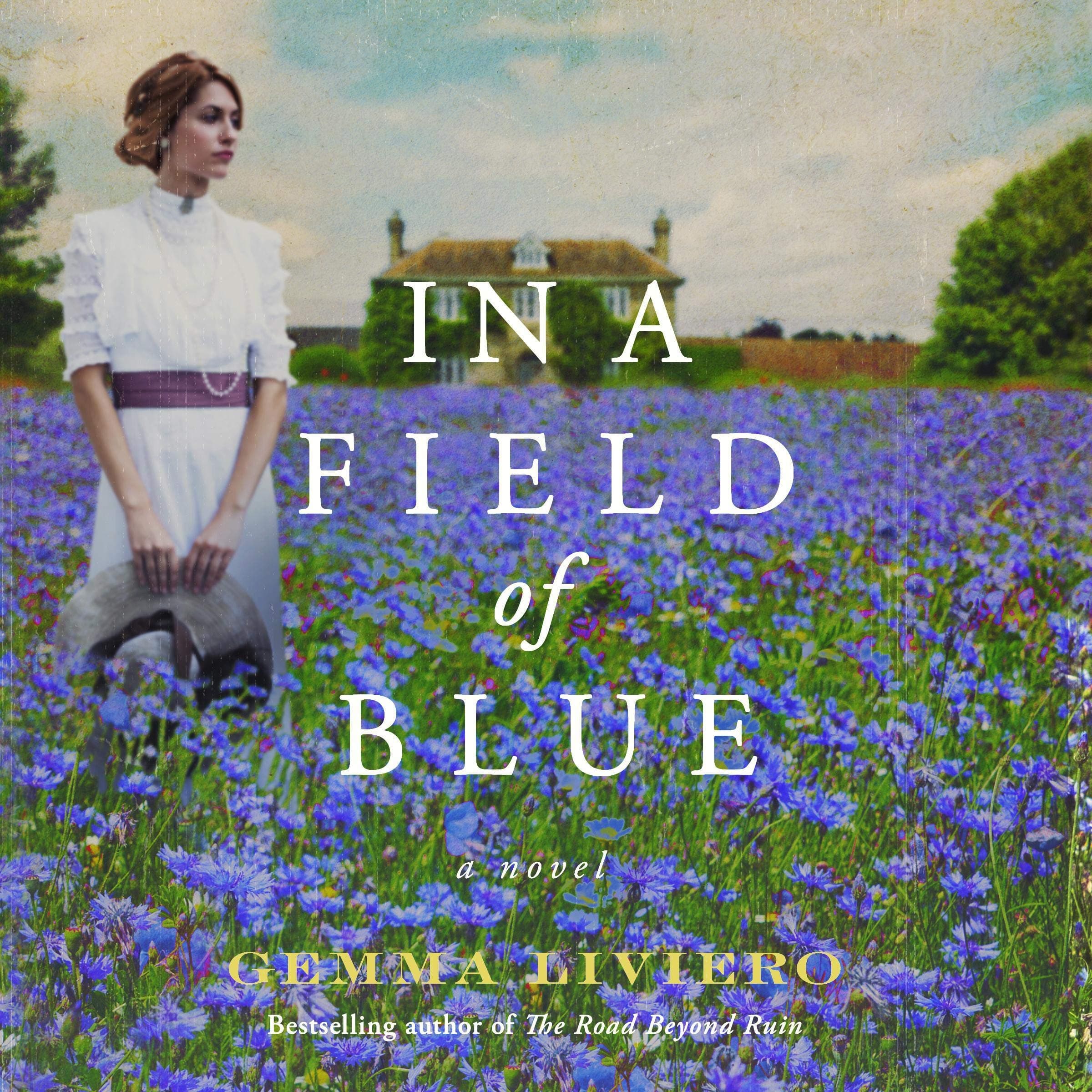 Gemma LivieroIn a Field of Blue: A Novel