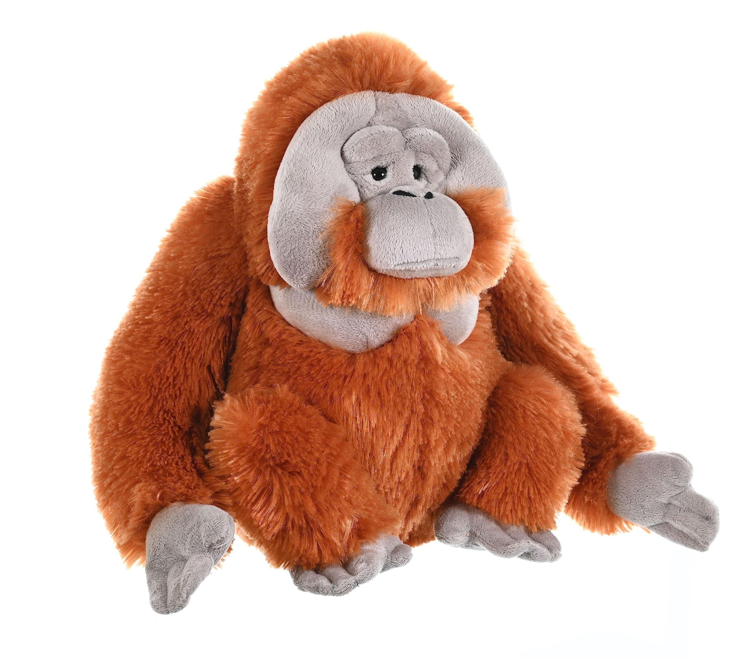 Orangutan Plush, Stuffed Animal, Plush Toy, Gifts for Kids, Cuddlekins 12 Inches