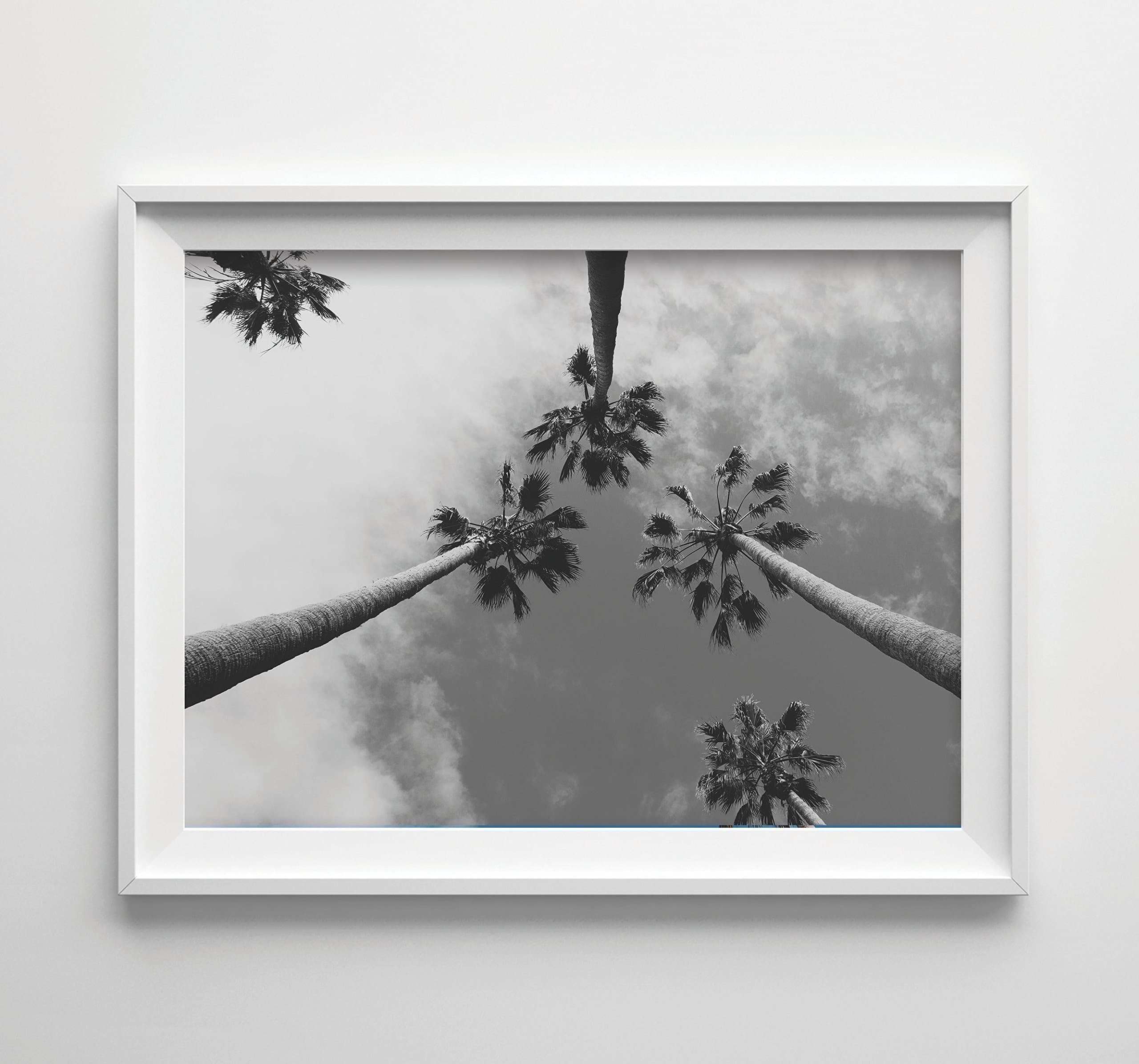 "Black and White Palms" Palm Tree Photography Art Print 8x11.5