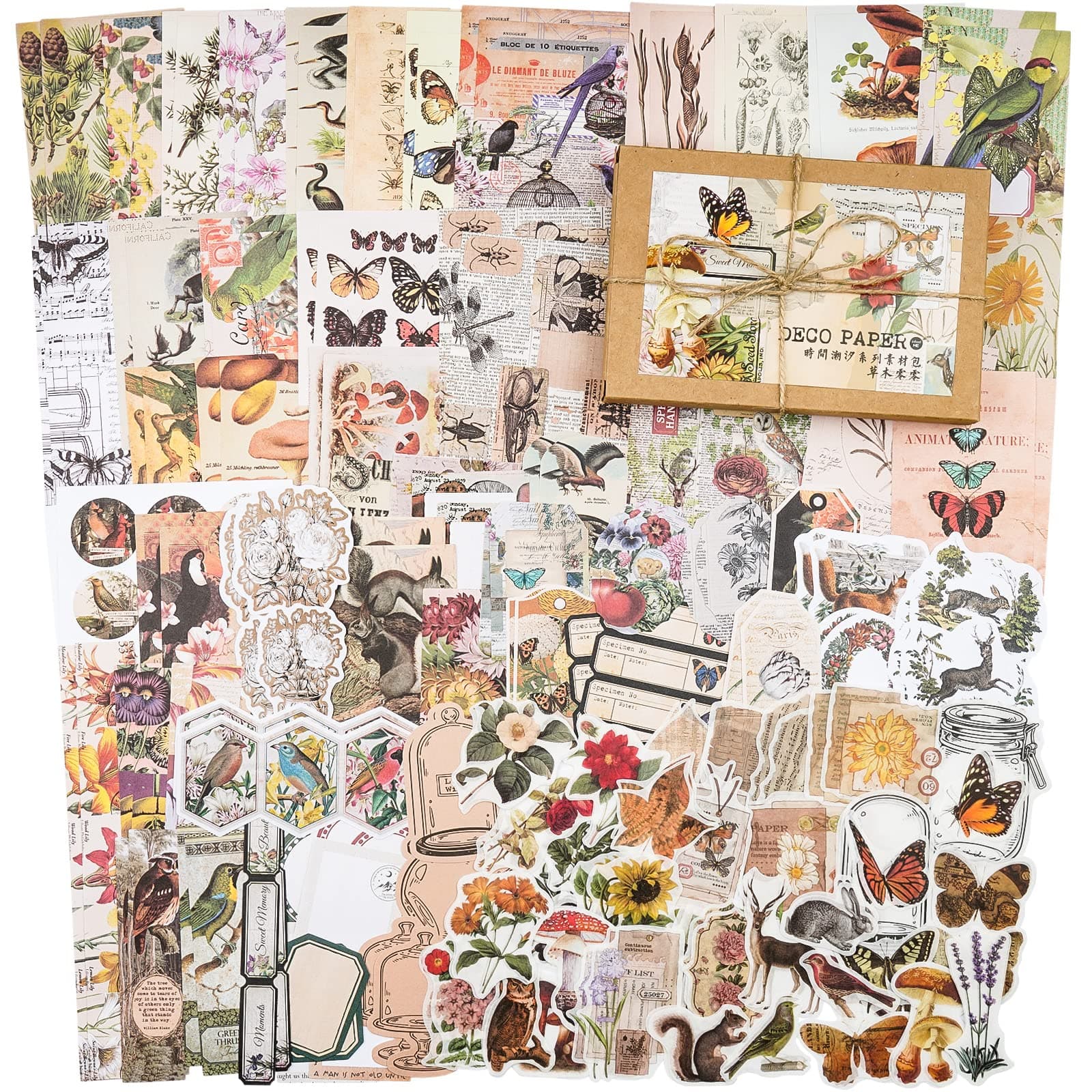 Knaid 200 Pieces Vintage Ephemera Pack Decoupage Paper Junk Journal Kit Scrapbook Planner Sticker Supplies for Art Journaling Bullet Journals Collage Craft Notebooks Album Crafter Gifts (Forest)