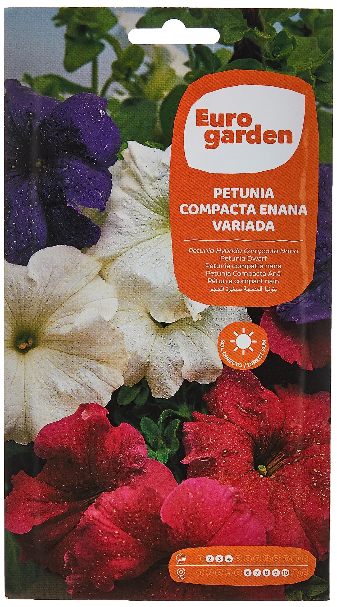 Euro Garden Petunia Dwarf Compact Mixed