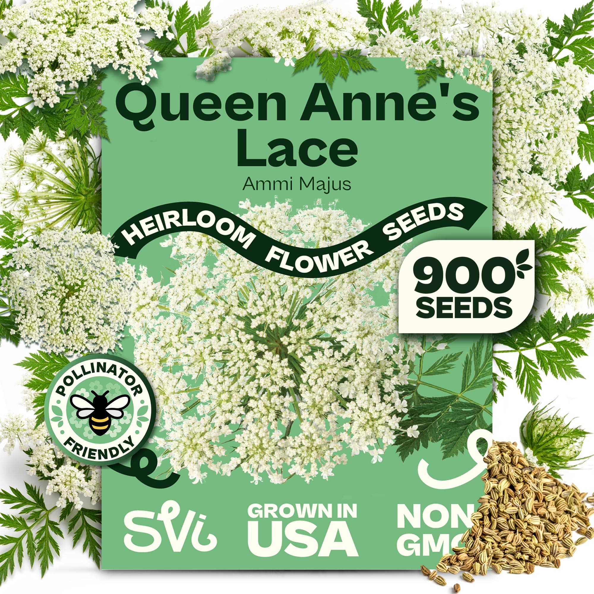 900 Queen Anne's Lace Seeds for Planting, Bishop's Flower Seed Packets (Ammi majus) - Bullwort, Laceflower, Heirloom & Organic Wildflower, False Annes Lace - Wild Flower Seeds to Plant Outside