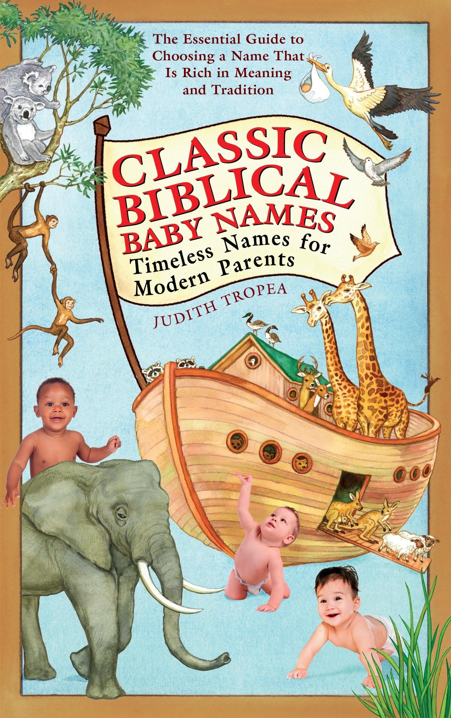 Classic Biblical Baby Names: Timeless Names for Modern Parents Paperback – August 29, 2006