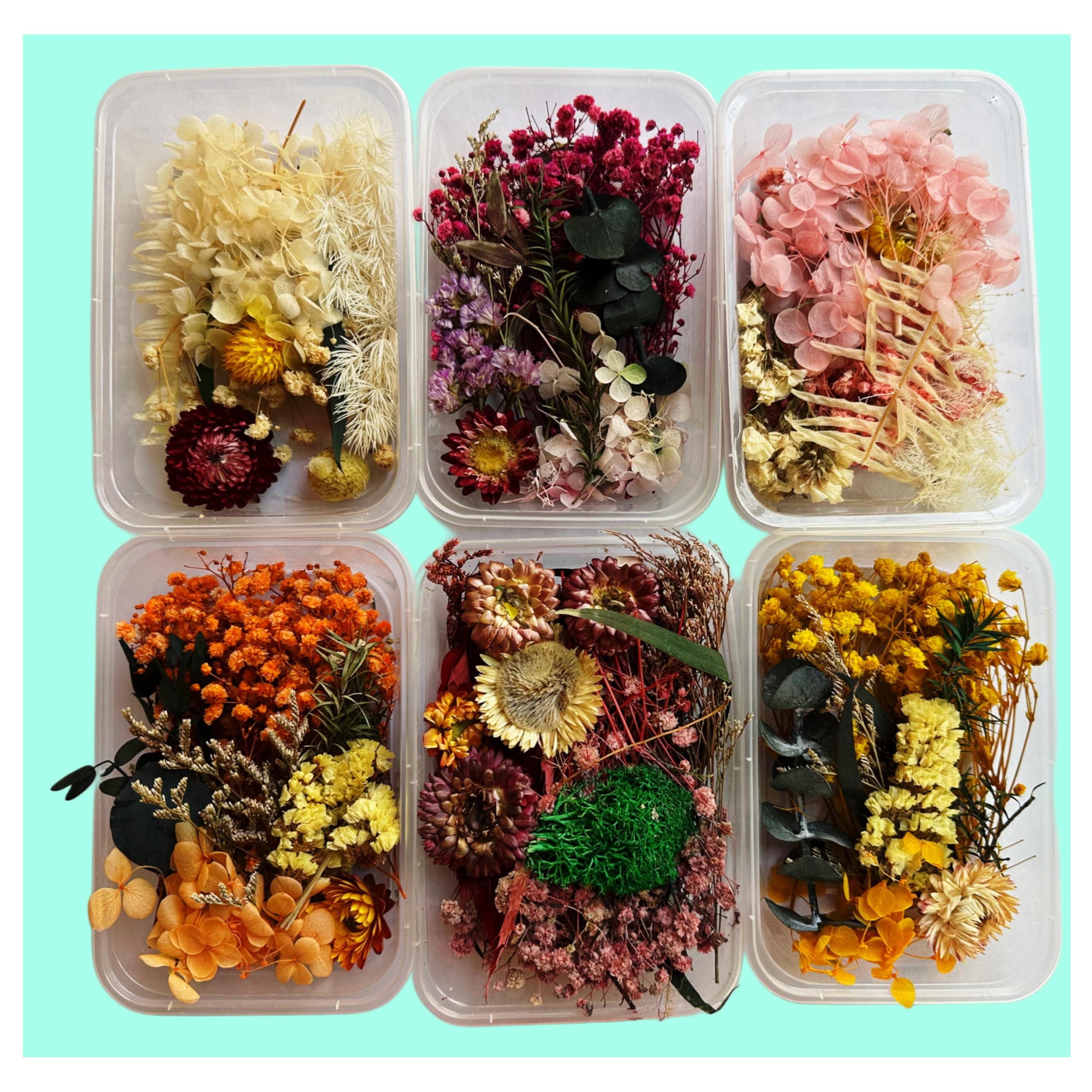 MSGH Dried Flowers for Resin Art - Natural Dry Flowers for Decoration, Candle Making, Soap Making, Nail Art & DIY (Pack of 1, Assorted)