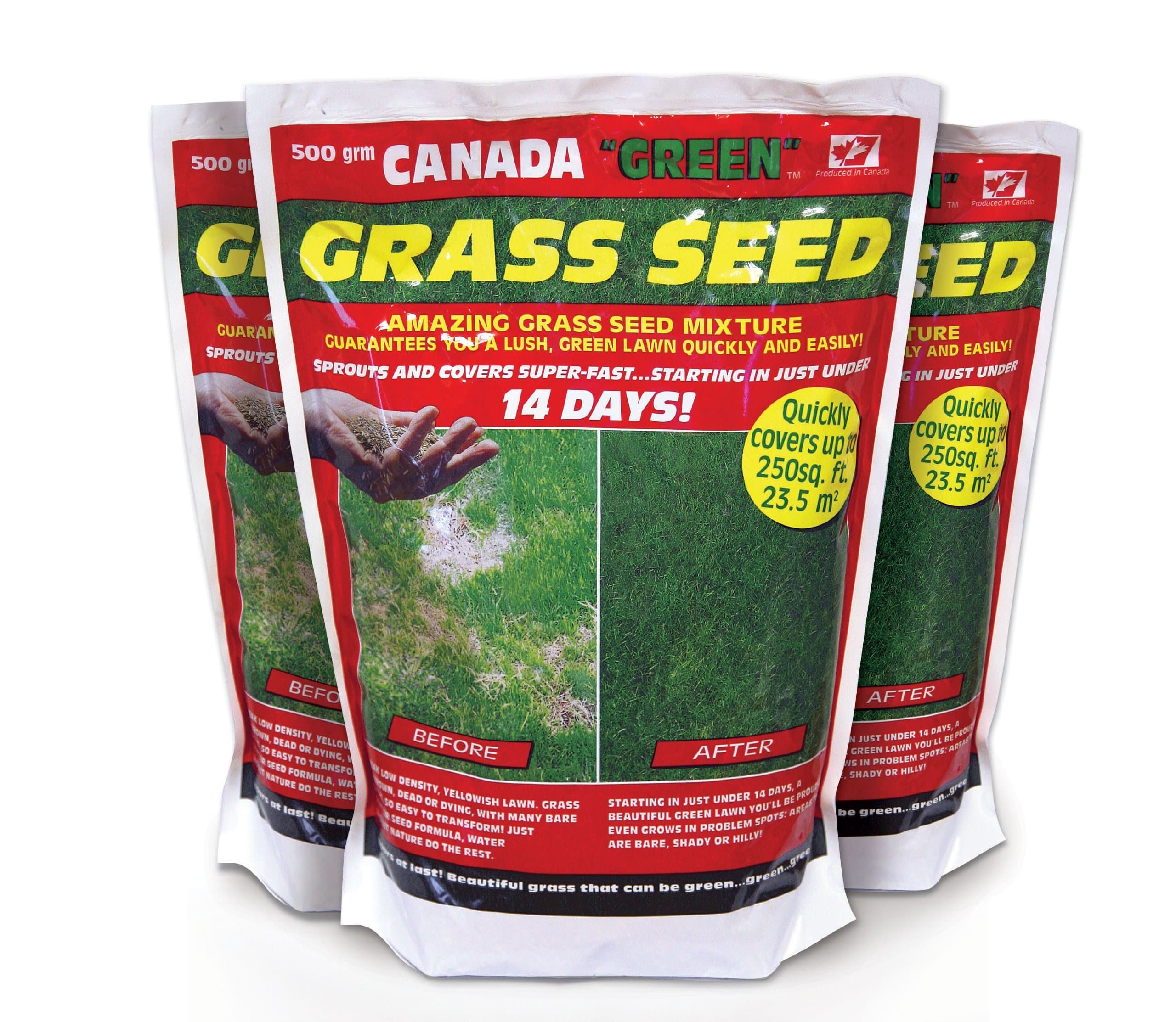 3607 Grass Seed