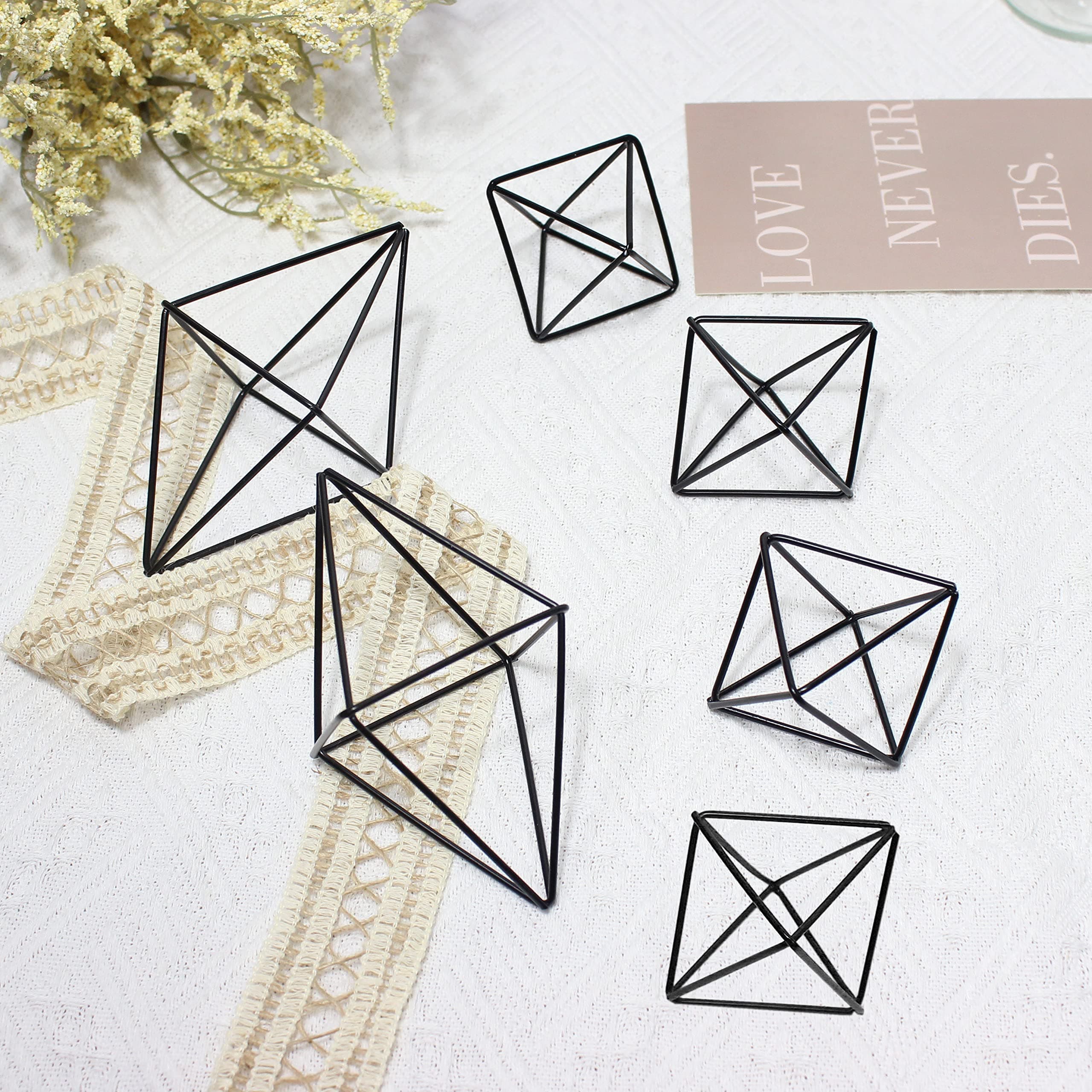 Airplants Plant Holders Small Hanging Air Plants Holders Stand Black Geometric Tillandsia Airplants Planter Hangers Metal Airferns Display Cage Decor for Wedding Home Office Gift 6 Pcs