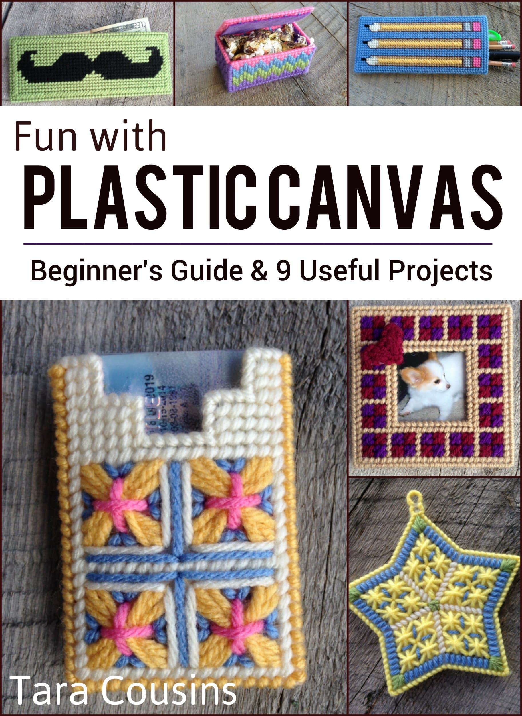 Fun with Plastic Canvas: Beginner's Guide & 9 Useful Projects (Tiger Road Crafts) Kindle Edition