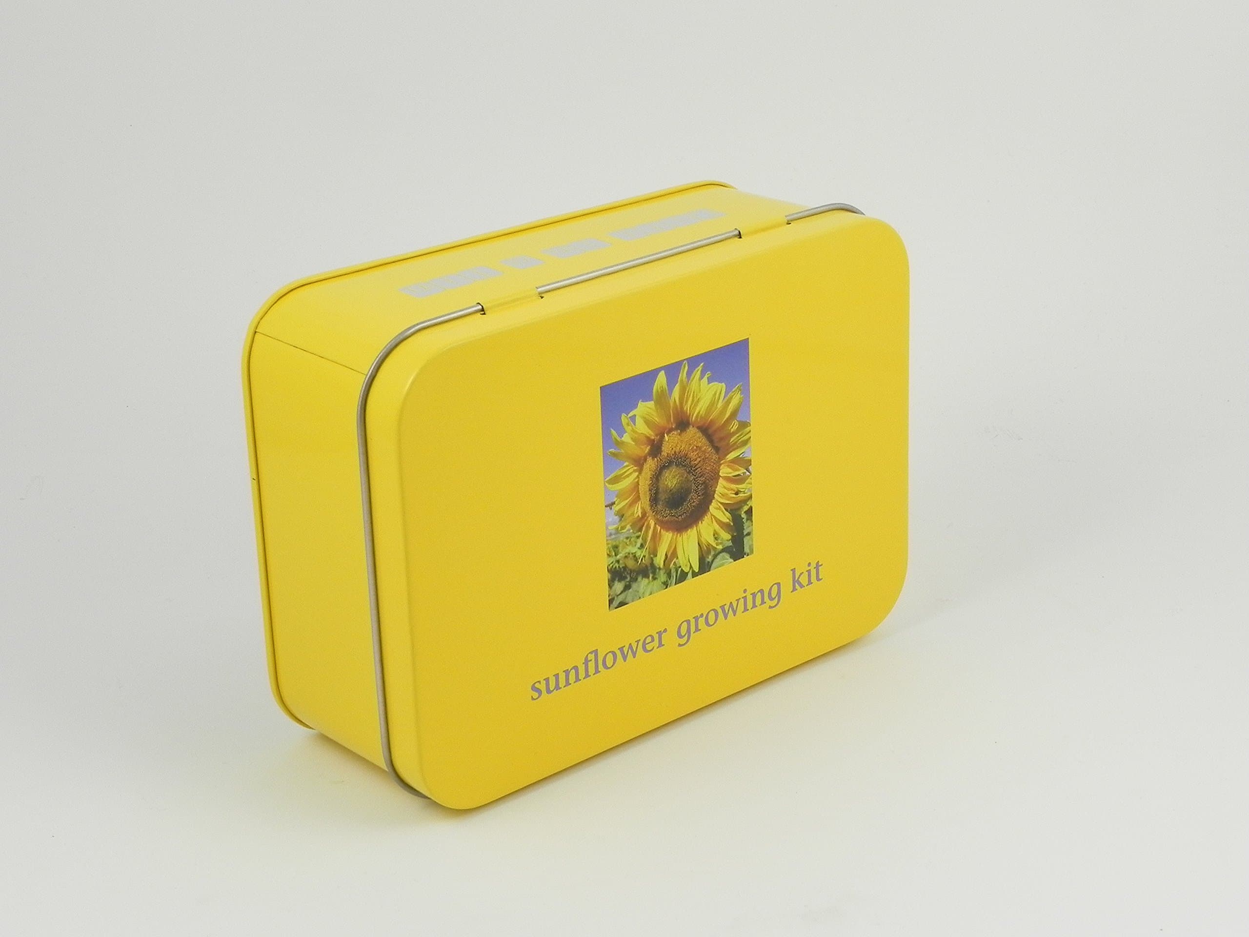 Sunflower Growing Kit - Gift in a Tin - Apples to Pears