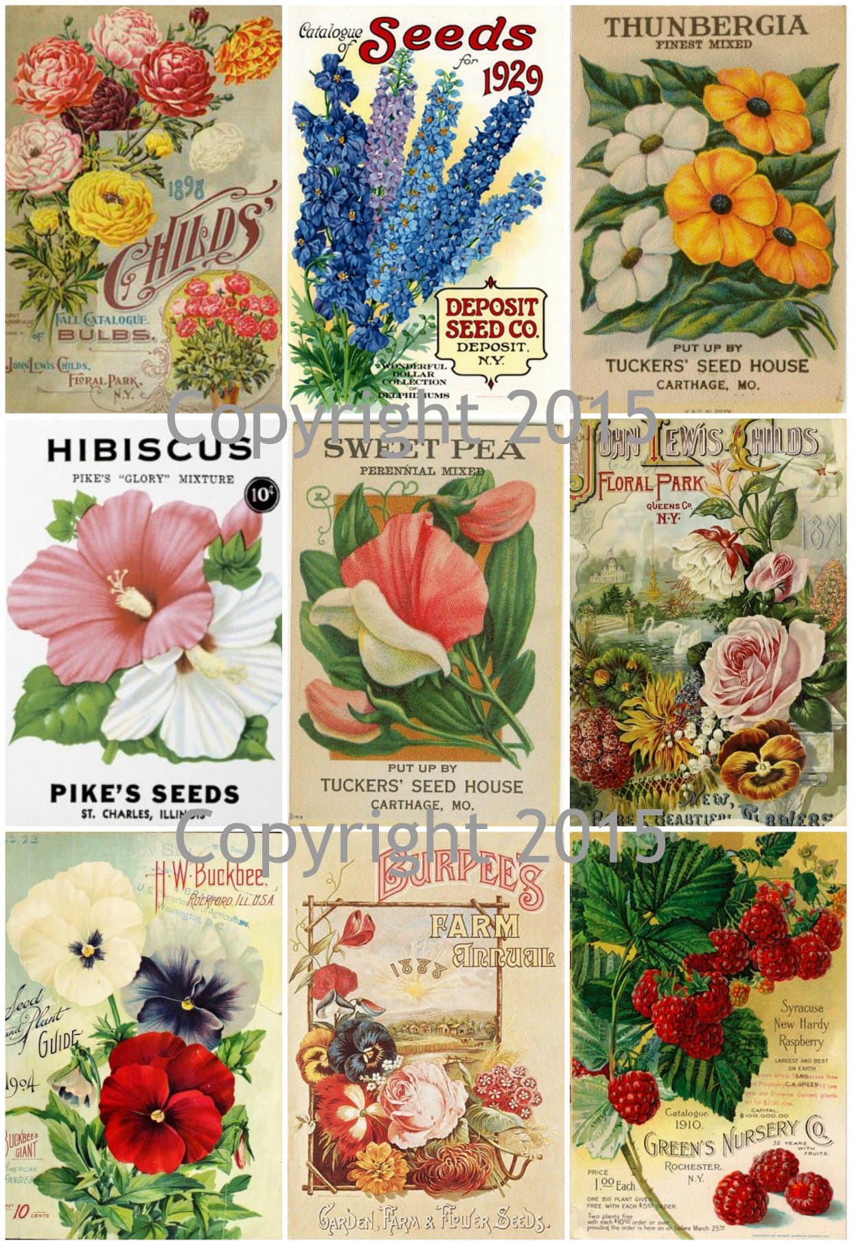 Victorian Vintage Seed Pack Flowers Large Collage Sheet #105 Scrapbooking, Decoupage, Labels, Altered Art