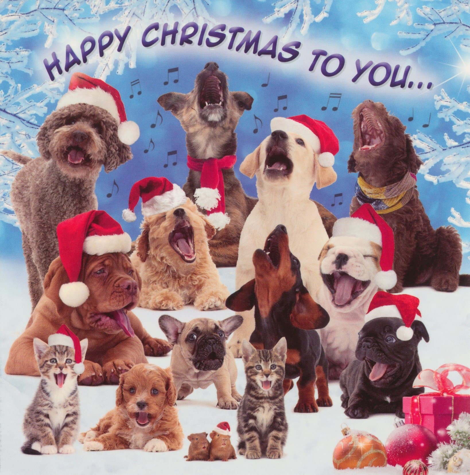 Singing Barking Dogs Animal Charity Christmas Cards Pack of 10 - Bark the herald angels sing Christmas Carols