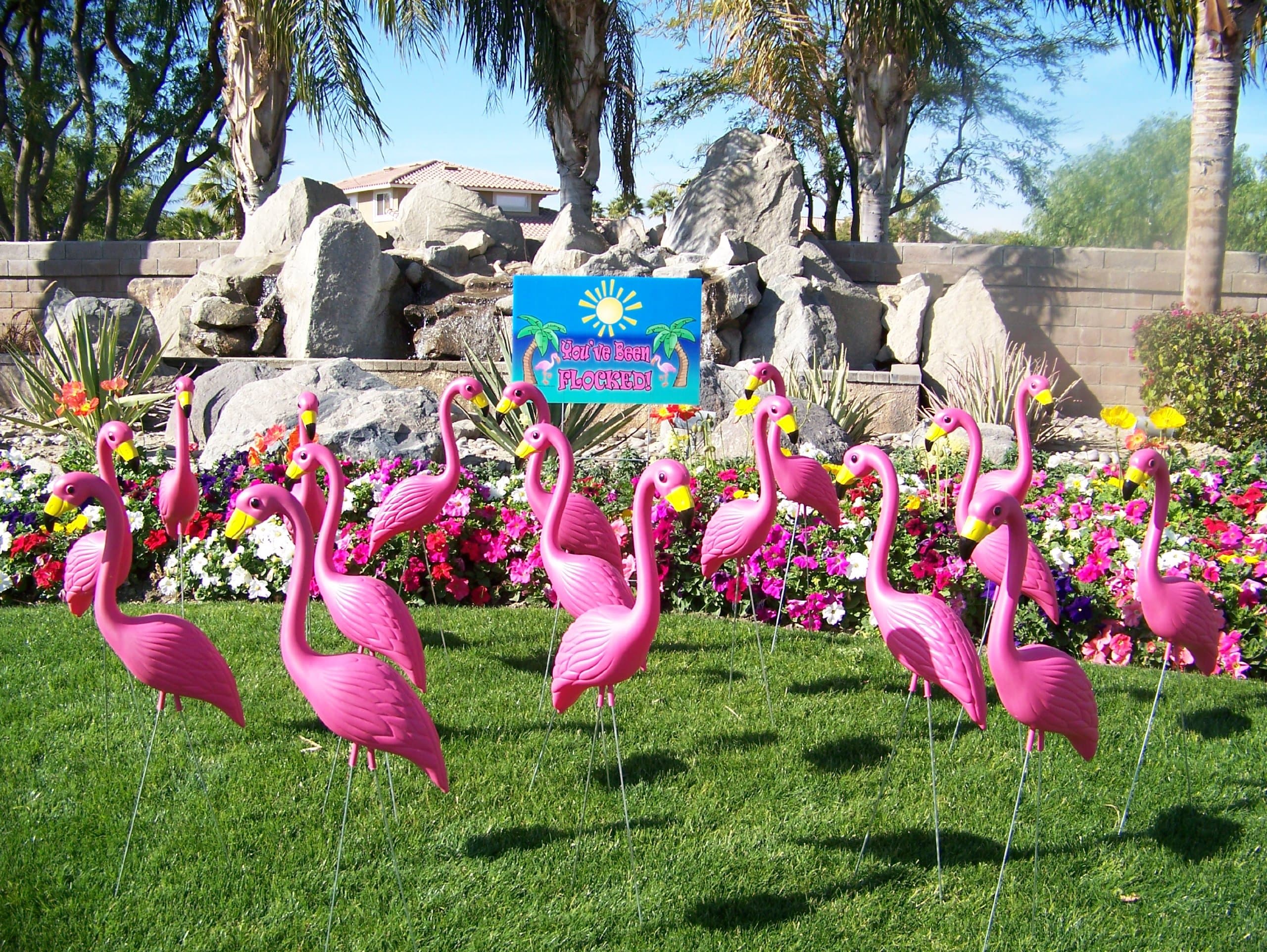 24 Pink Flamingos and a "You've Been Flocked" Flamingo Yard Sign.