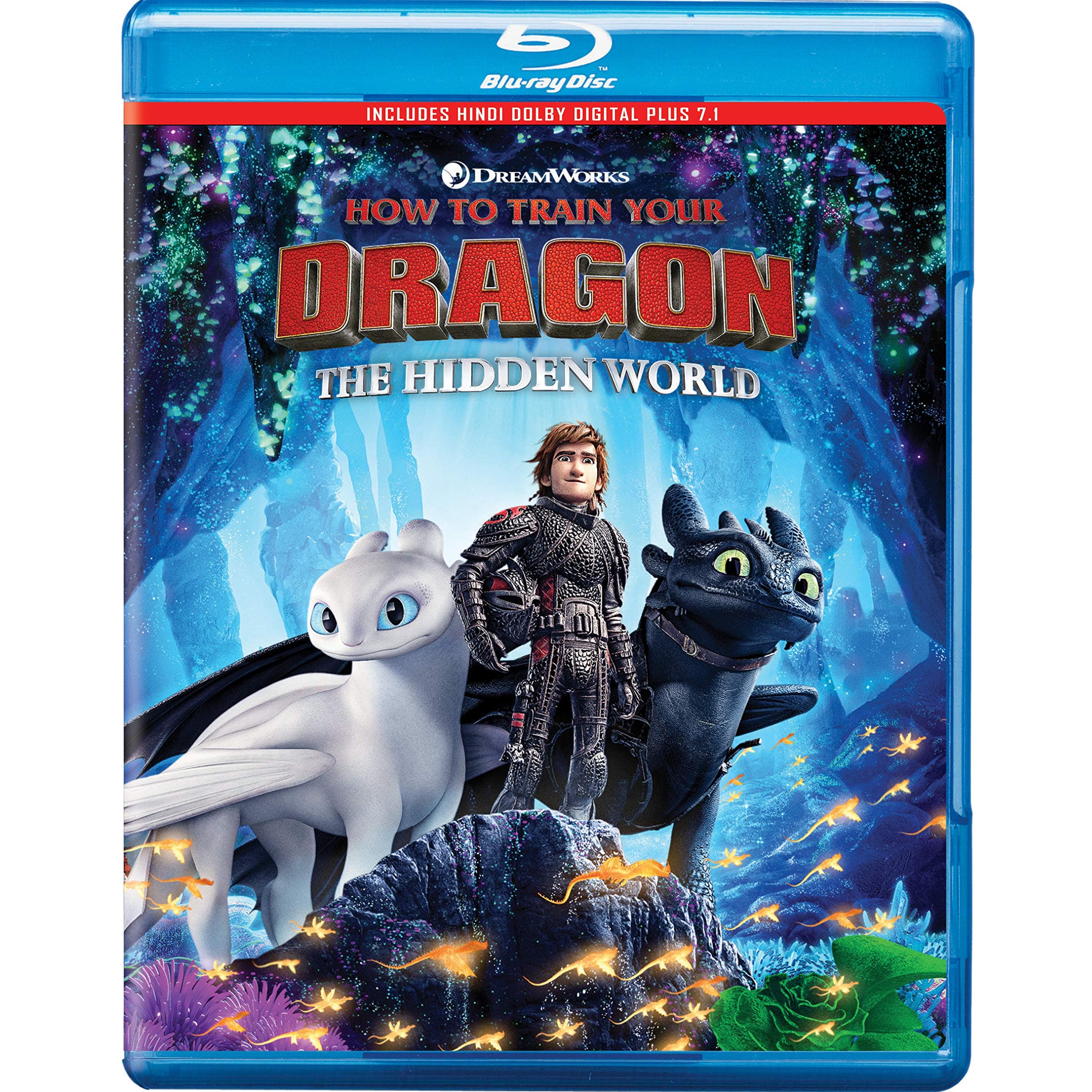 How to Train Your Dragon: The Hidden World