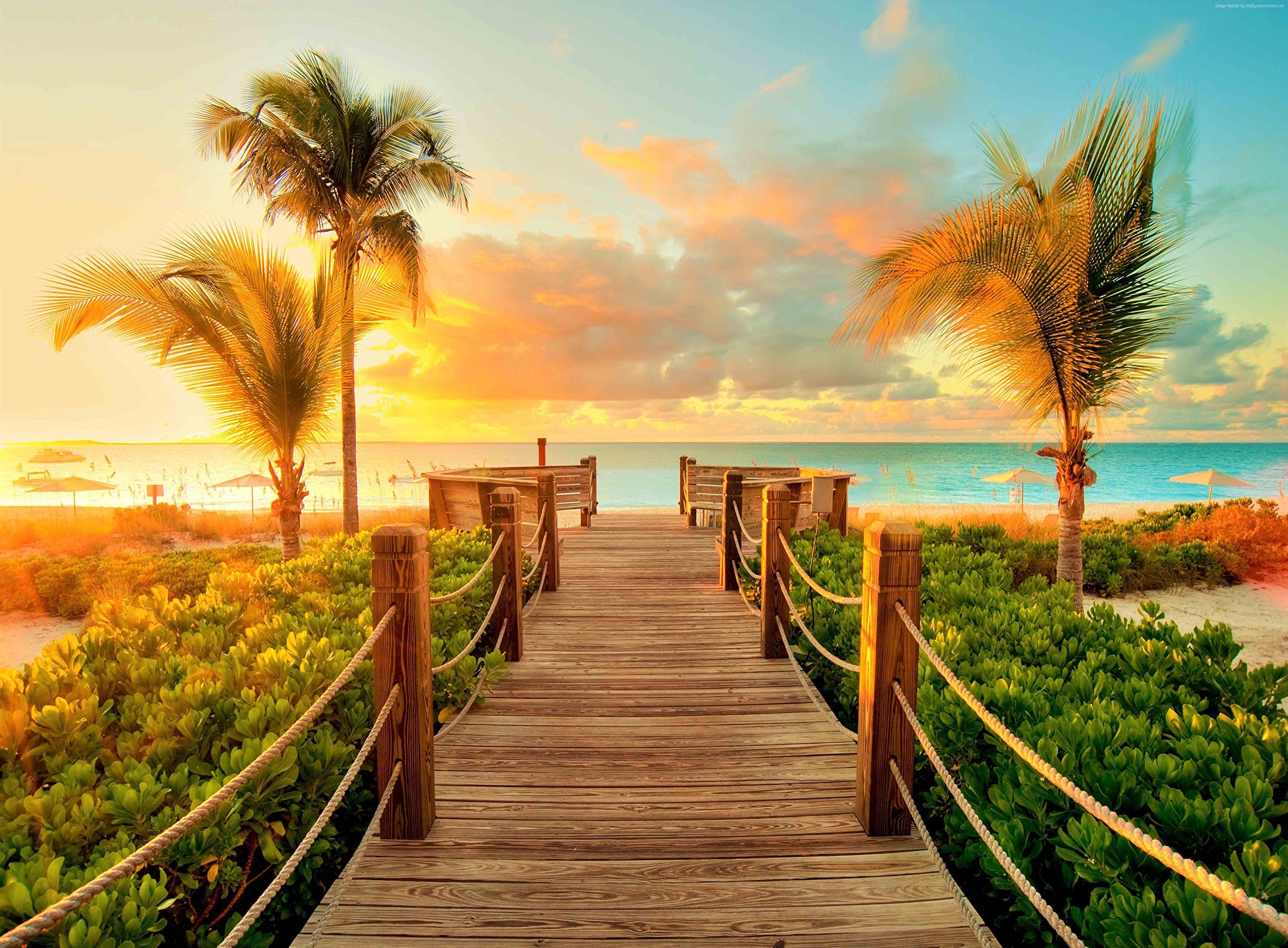 FKG Adult Jigsaw Puzzle Beach Sunset Sea Nature Turks and Caicos Grace Bay 500-Pieces