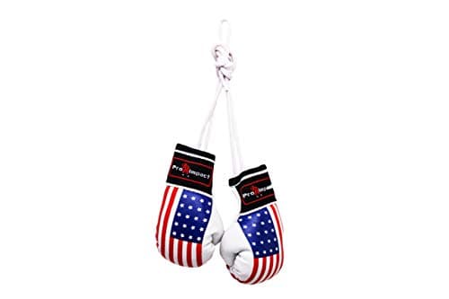 Pro Impact Mini Boxing Gloves - Miniature Punching Gloves - Holiday Christmas Ornament - Hanging Decoration or Souvenir Display - for Home & Car Use - 1 Pair (American Flag)