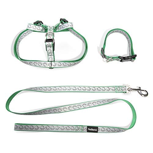 Adjustable Reflective Pet Leash Collar Harness Set Double Band Nylon Dog Paw's Print Leash Set for Small Medium Pet for Walking Green,Medium