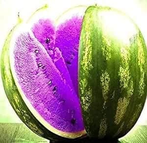 Fresh 100pcs Watermelon Fruit Vegetable Seeds for Planting Violet