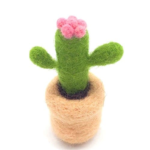 Artec360 Felting Supplies Merino Wool Succulent Plants Needle Felting Kits Within 3 Needles and Tutorial for Felting Beginner (Cactus)