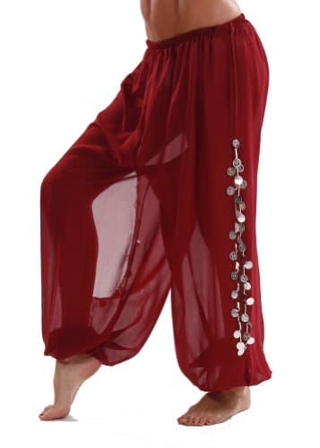 Bellydancer Chiffon Harem Pants with Side Slits | Maiden Dance