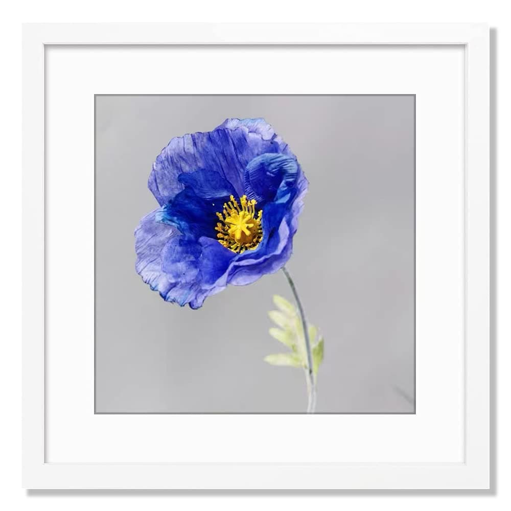 VNVNK 15x15 Frame White, Perfect for 15x15 Inch Picture without Mat or 11x11 Inch Picture with Mat, Home Wall Decor Picture Frame-1 PCS