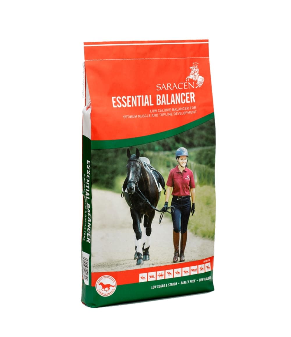 Essential Balancer - 20 kg