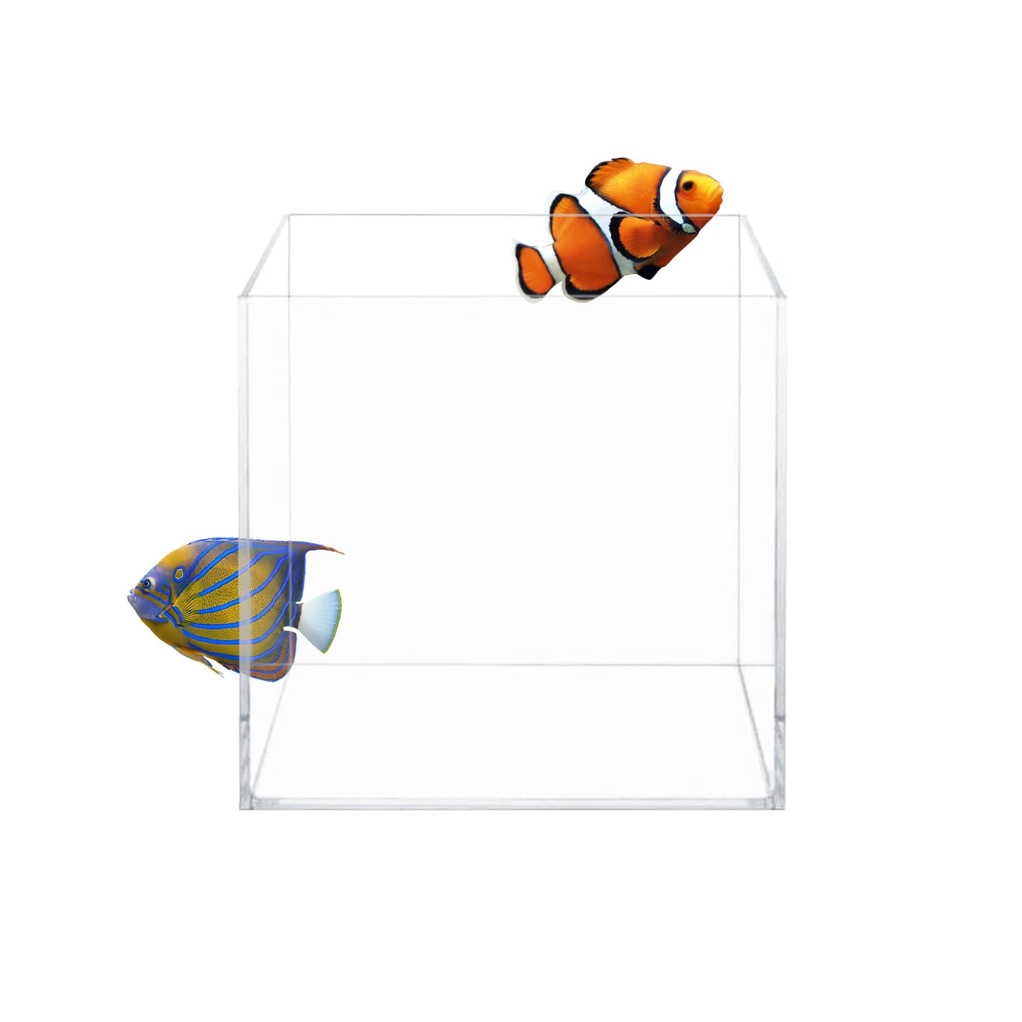 High Clarity Glass Aquarium, Cube Style 4.12 gal Fish Tank, 9.84 in x 9.84 in x 9.84 in, HCC-10