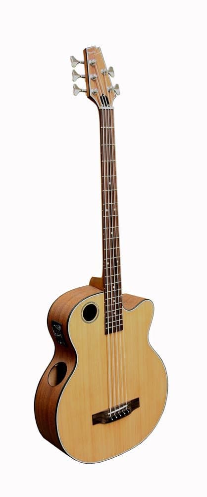 Boulder Creek EBR3-N5F Acoustic/Electric 5-String Bass, Cutaway, Solid Cedar Top/ Mahogany,Natural Satin, Fretless