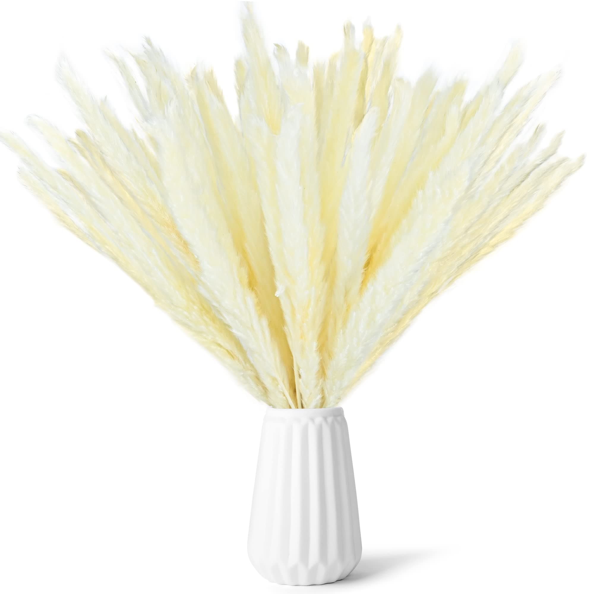 Pampas Grass Plant, 50 Stems 44cm Dried Plants Fluffy and Swinging DIY Boho Plant White Natural Dried Flowers Bouquet Dried Floral Arrangement Dry Grass for Wedding Flower Arrangements Home Decor