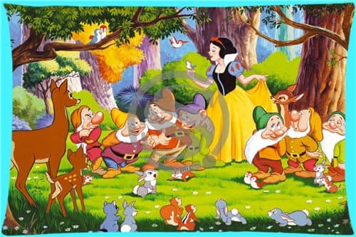 Hot Custom Rectangle Pillow Case Snow White#2 Excellent Quality Zippered Soft Pillowcase SQ00811@H013