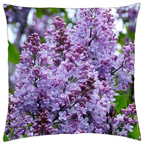 iPhone 5 / 5S Case - Galaxy Star Milky Way Universe quote "The darker the nig...