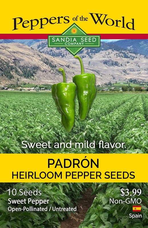 Padron Sweet Pepper Seeds - Famous Spanish Heirloom - 10 Seeds