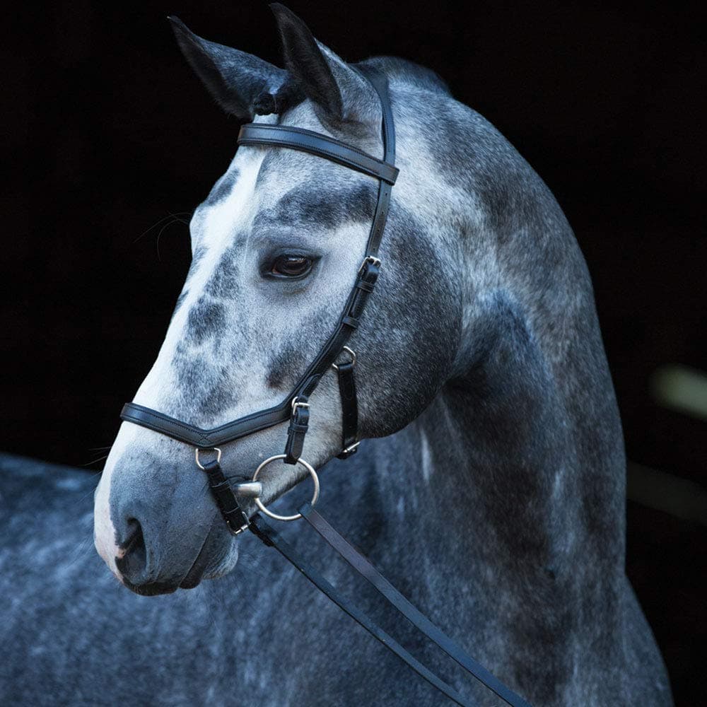 Rambo Micklem Competition Bridle LRG Horse Black
