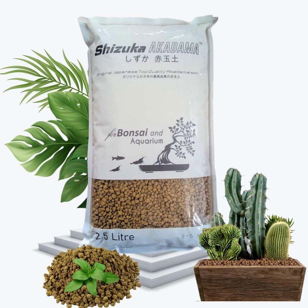 VAYINATO PetzLifeworld Shizuka Akadama Japan Soil for Bonsai, Succulant and Aquarium 2.5 L (Small 2~5 MM)