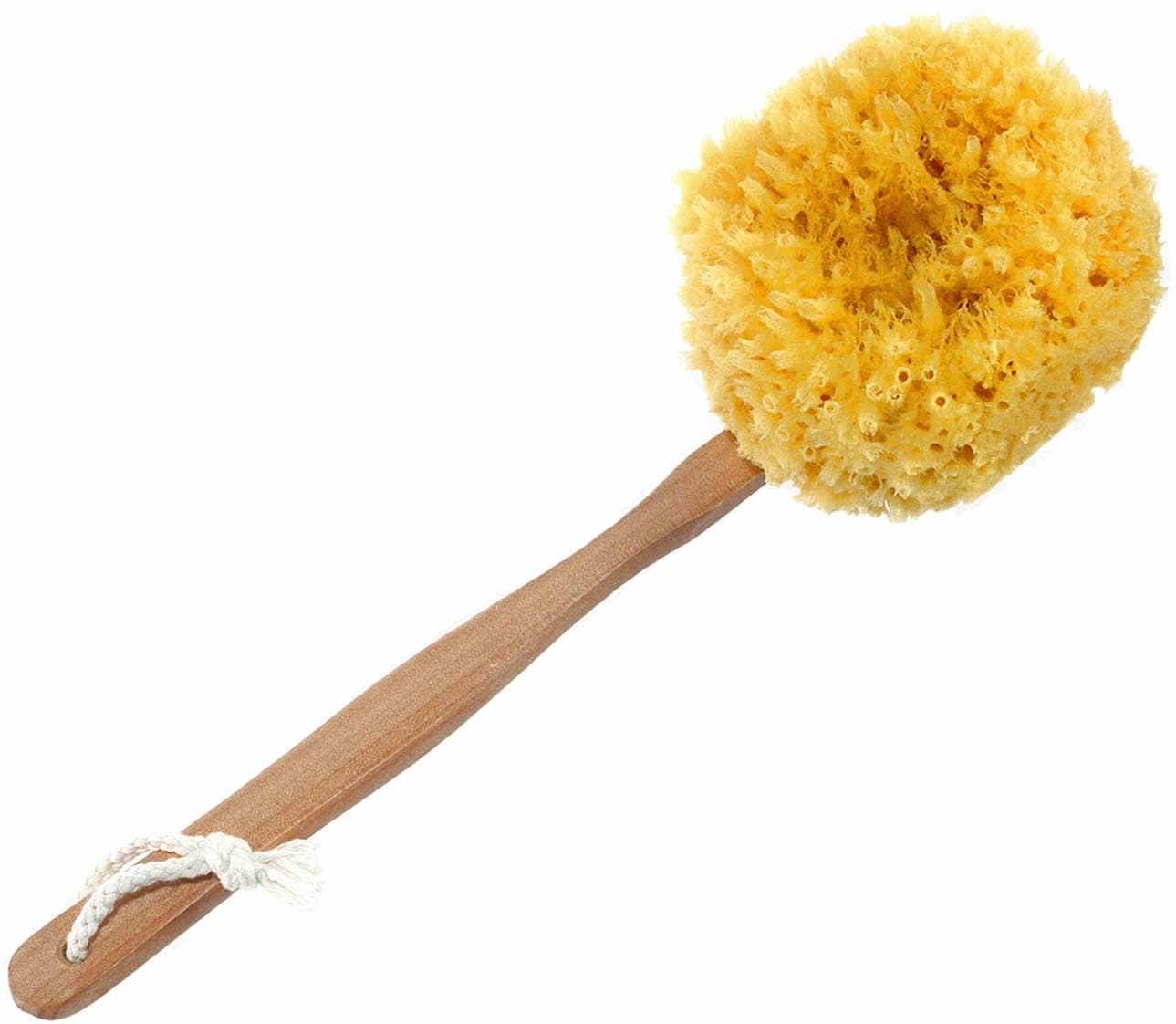 Long Handled Back Scrubber - Bath and Shower Natural Sea Sponge – Made with Exfoliating Caribbean Grass Sea Sponges – The Best Bath and Shower Back and Body Brush by SeaSationals