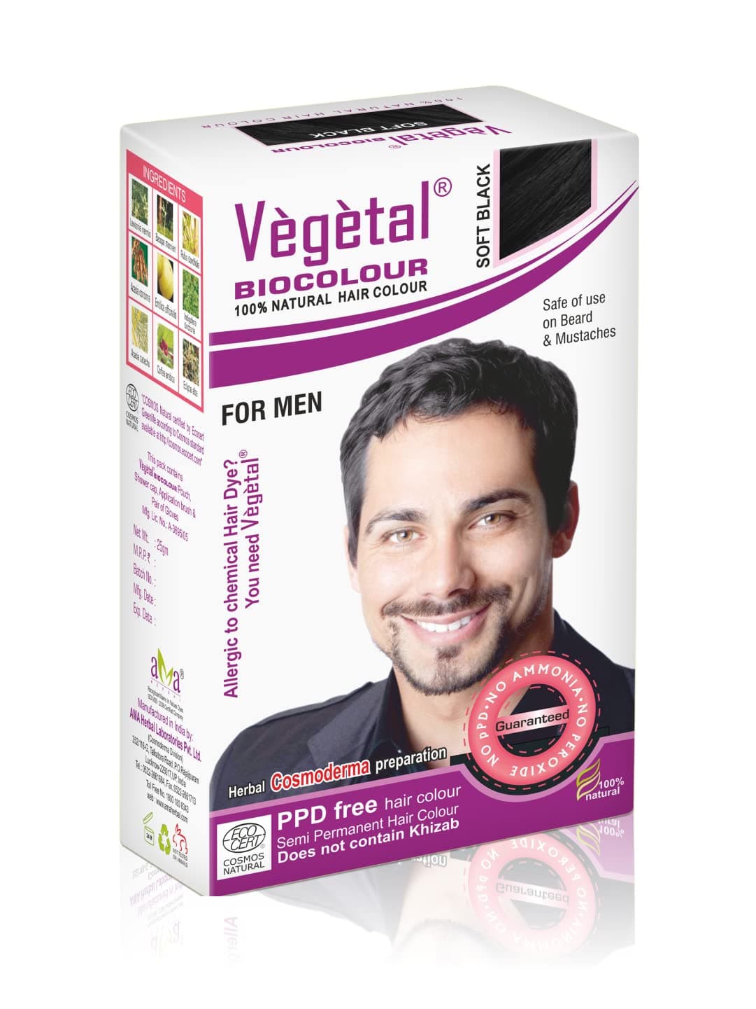 Vegetal Bio Colour - black Beard Hair colour for men 25g. (pack of 3)
