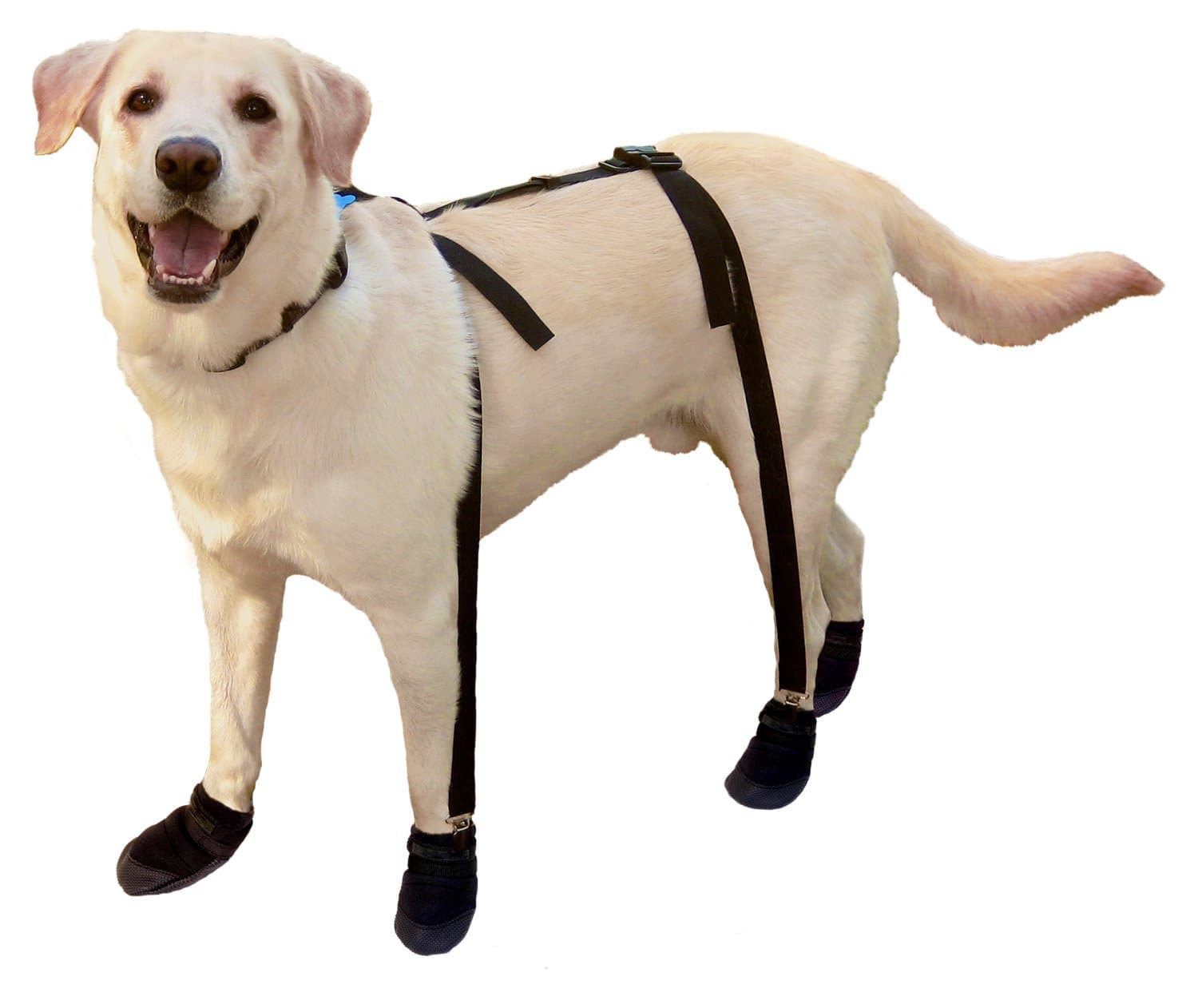 Canine Footwear Suspenders Snuggy Boots for Dog, Medium, Black