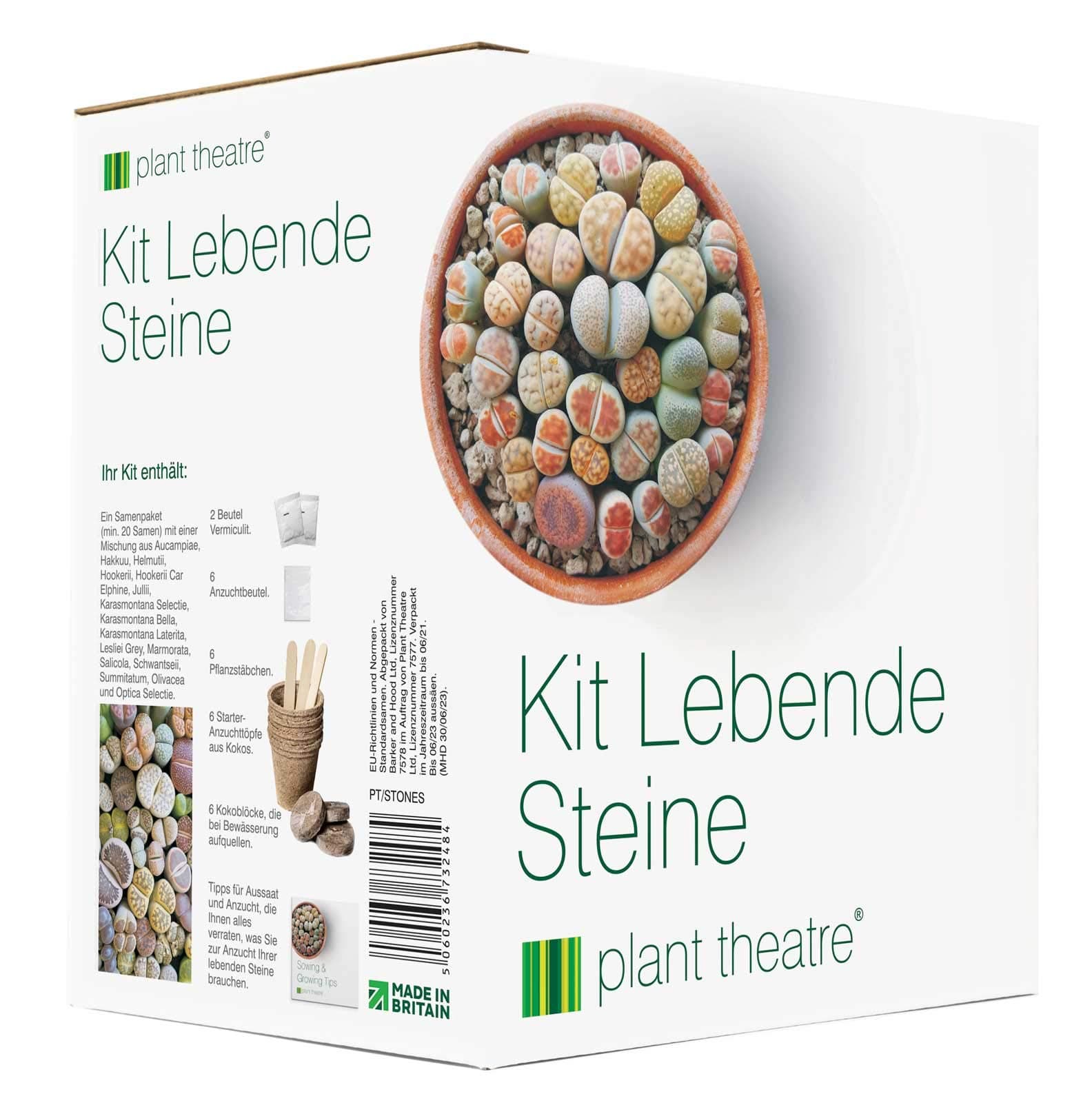 Plant Theatre Living Stones Kit - Lithops Gift Seed Kit
