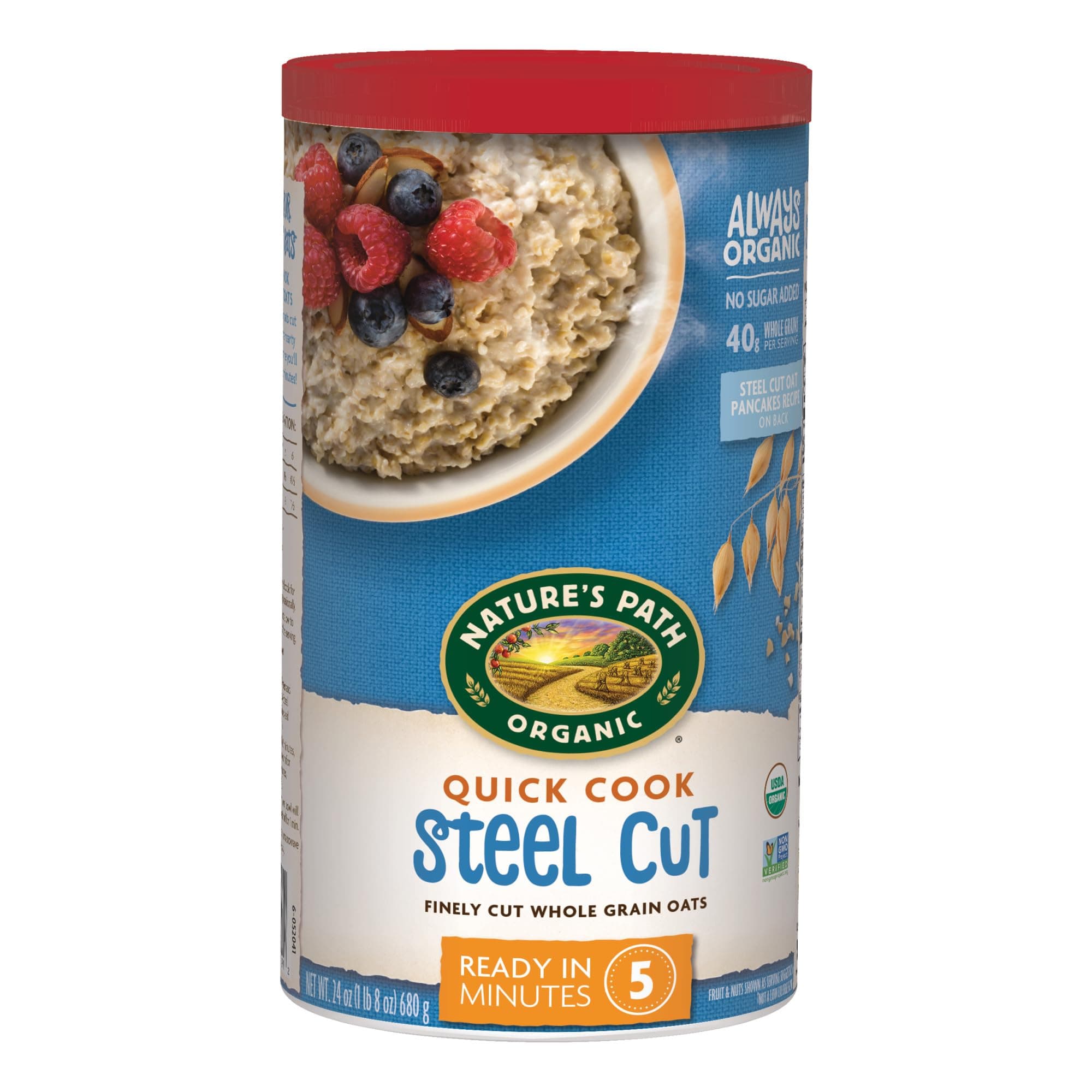 Nature's Path Organic Quick Cook Steel Cut Oatmeal, 24 oz (Pack of 1), Non-GMO